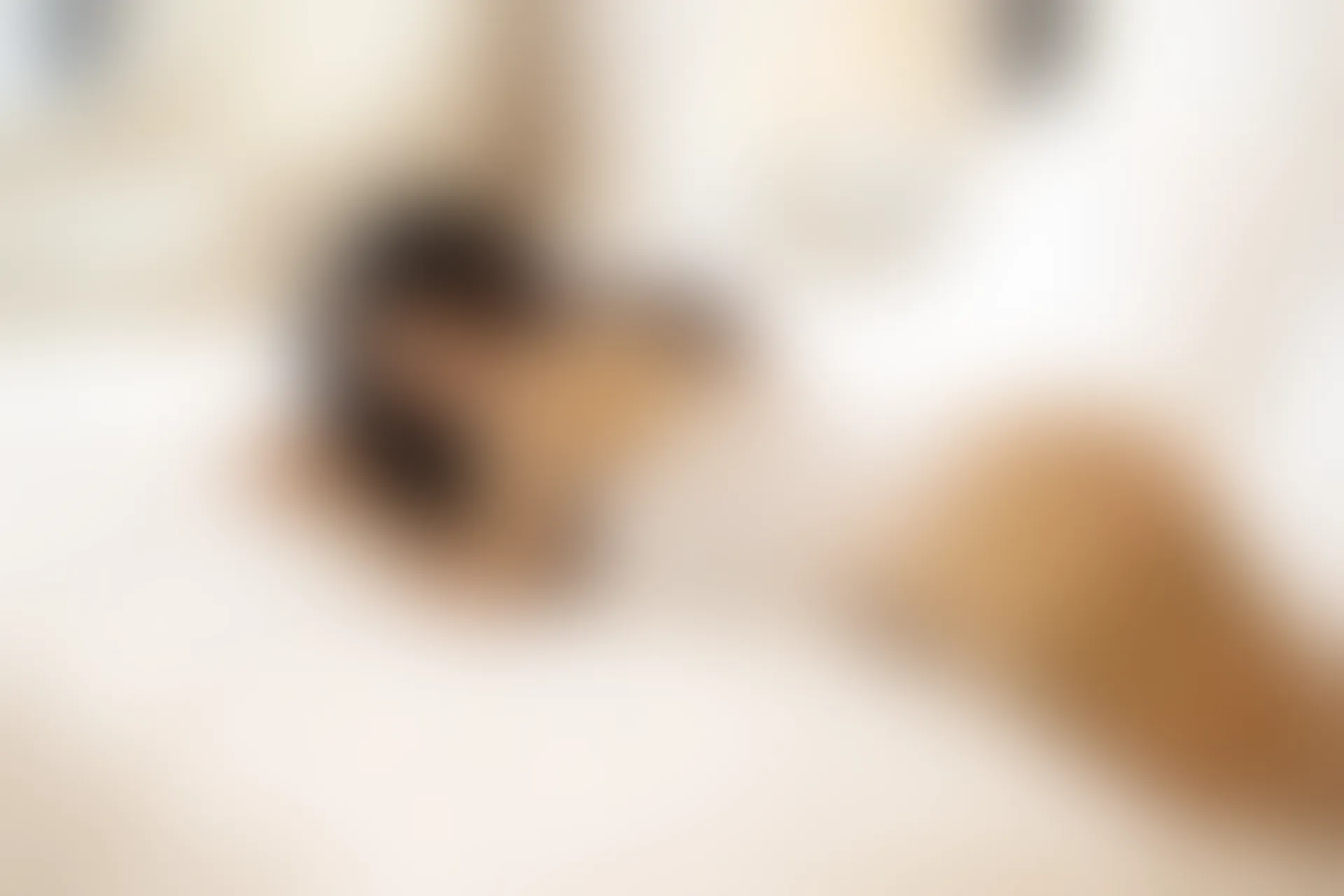 XiuRen秀人网 2015.11.07 No.417 小夕Kitty[61+1P156M]