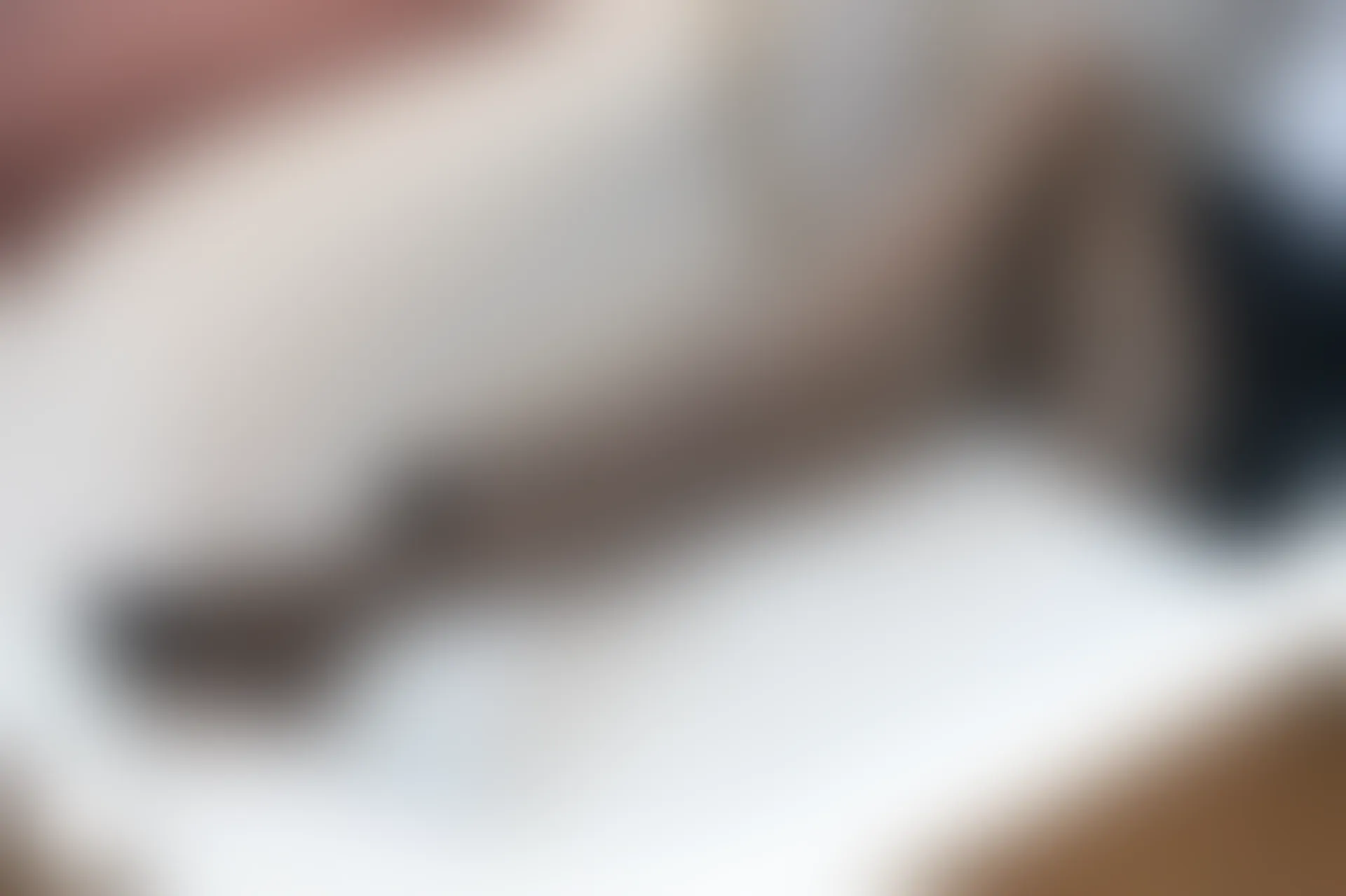 D58.008 兔玩映画 浴缸里的黑丝 [40P-66MB]