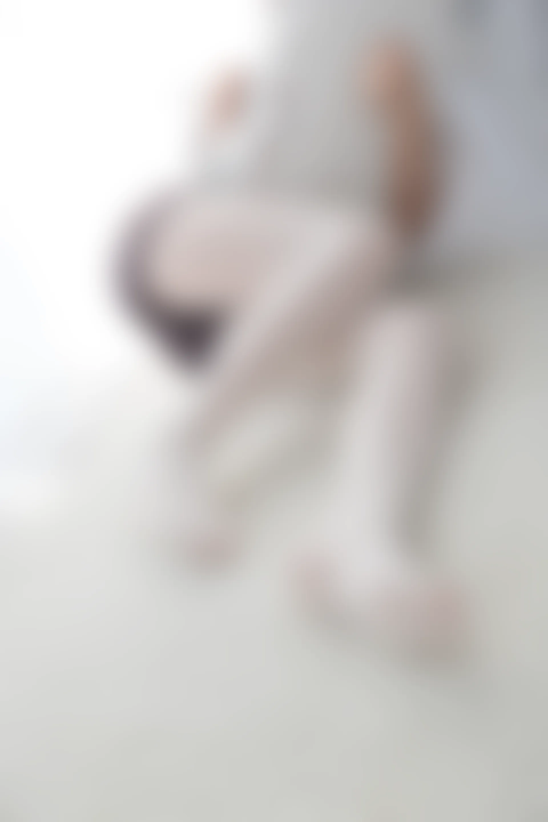 喵写真 VOL-008 [63P-232M]可爱, 喵写真, 白丝, 美腿