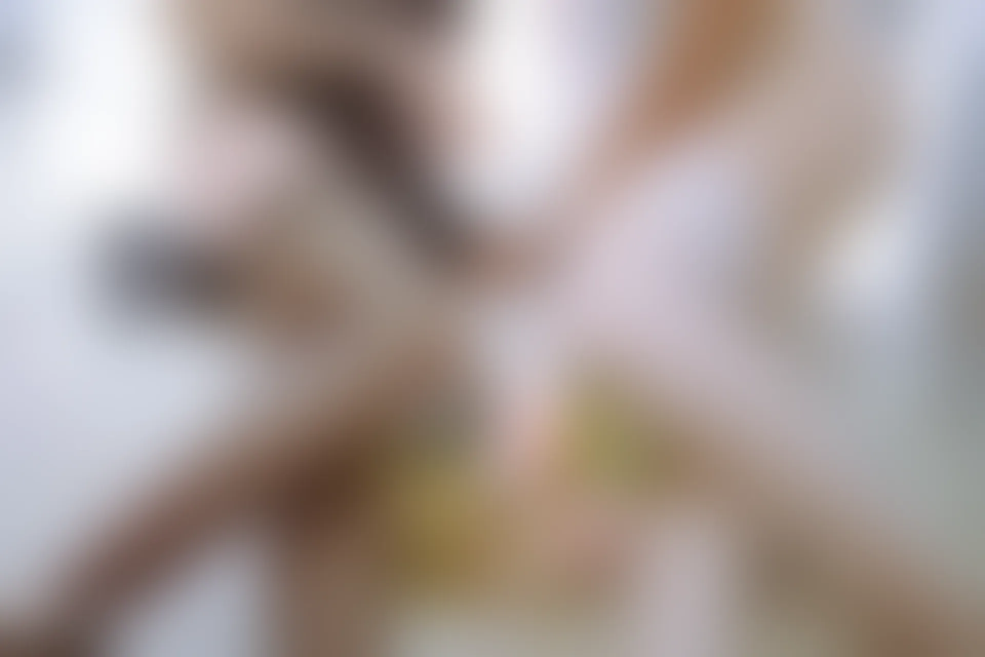 C11.002 黑白旗袍双子 [41P-249MB]