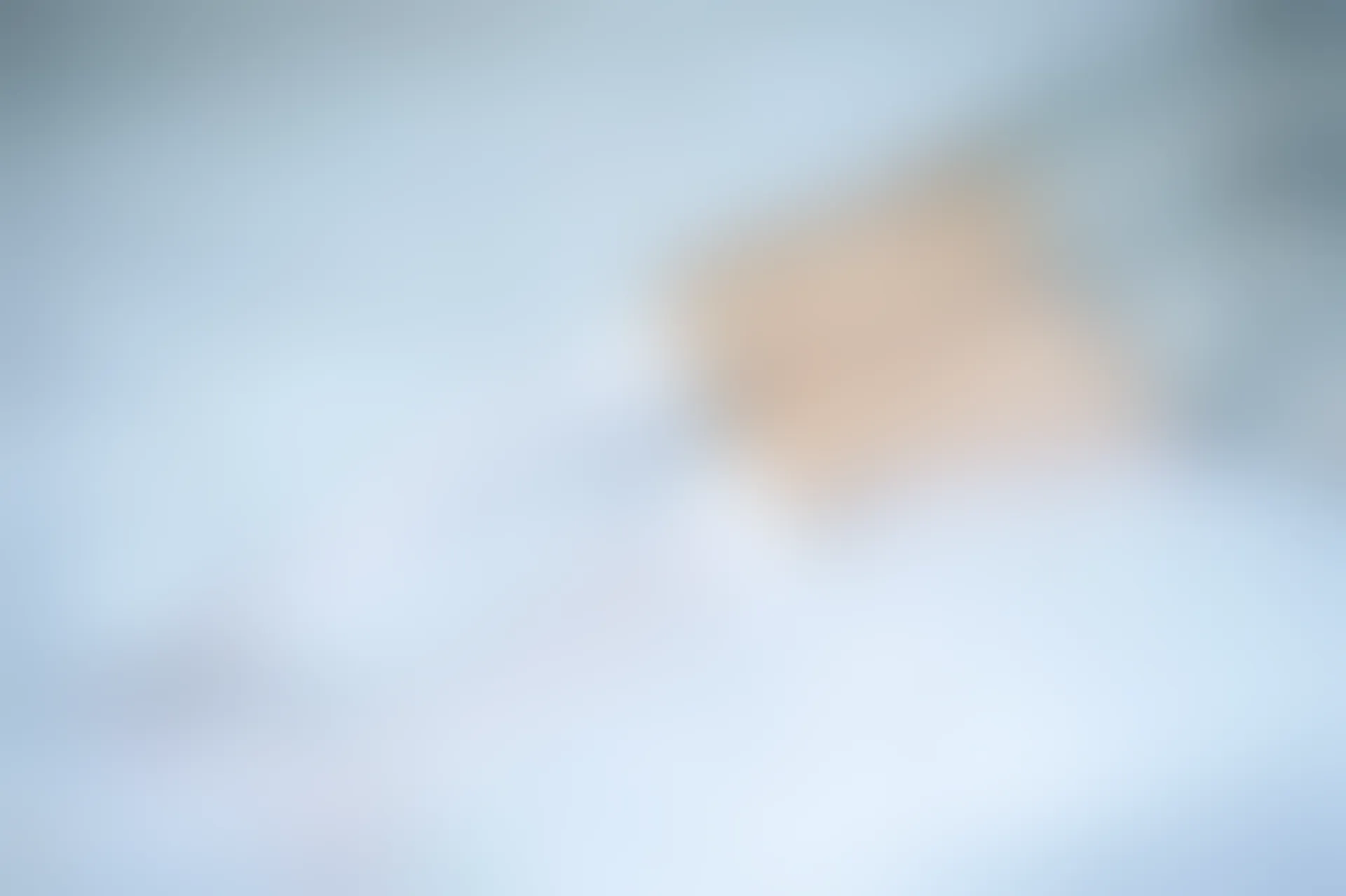 C08.002 窗边的白丝 [40P-83MB]