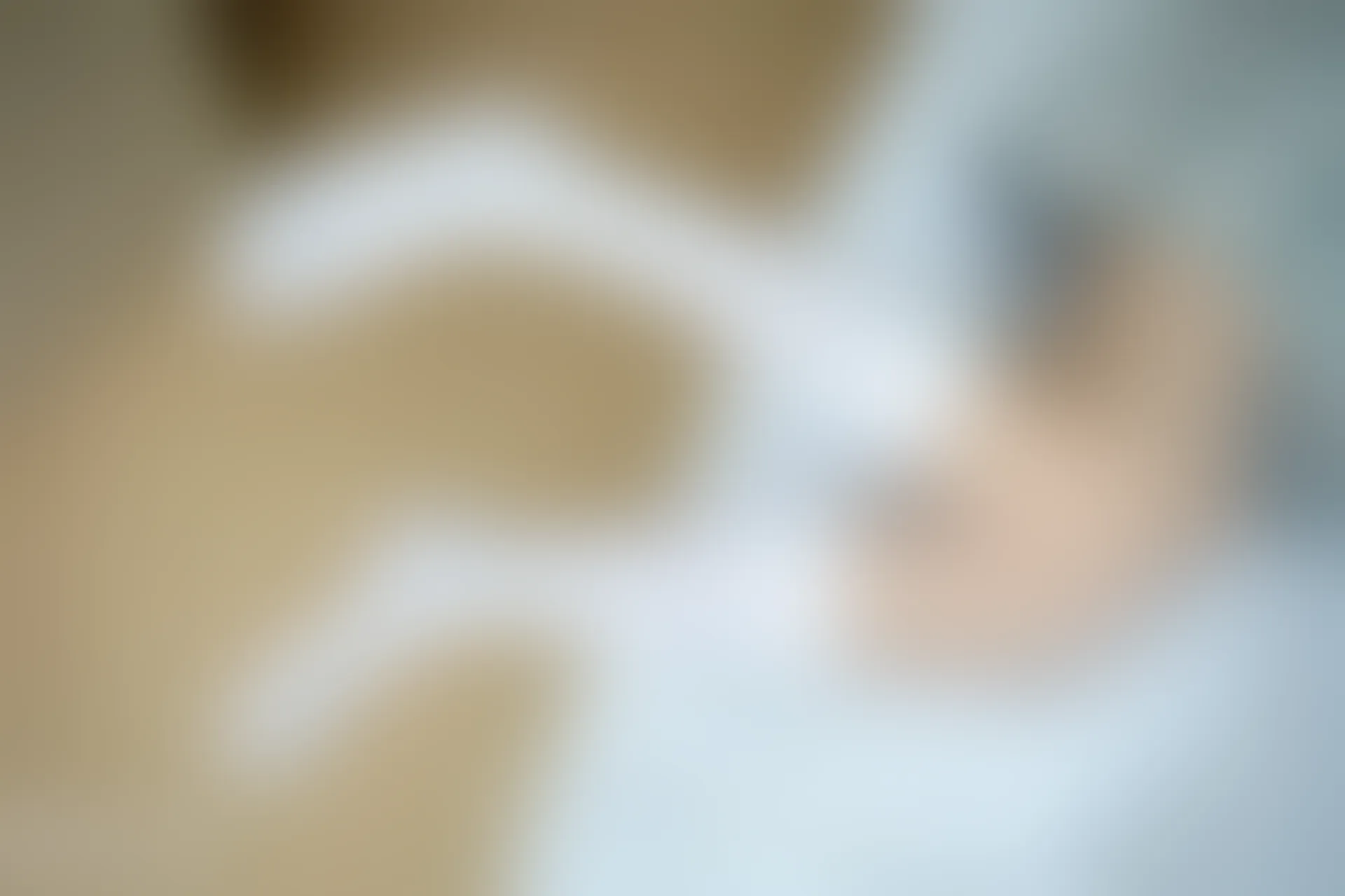 C08.002 窗边的白丝 [40P-83MB]