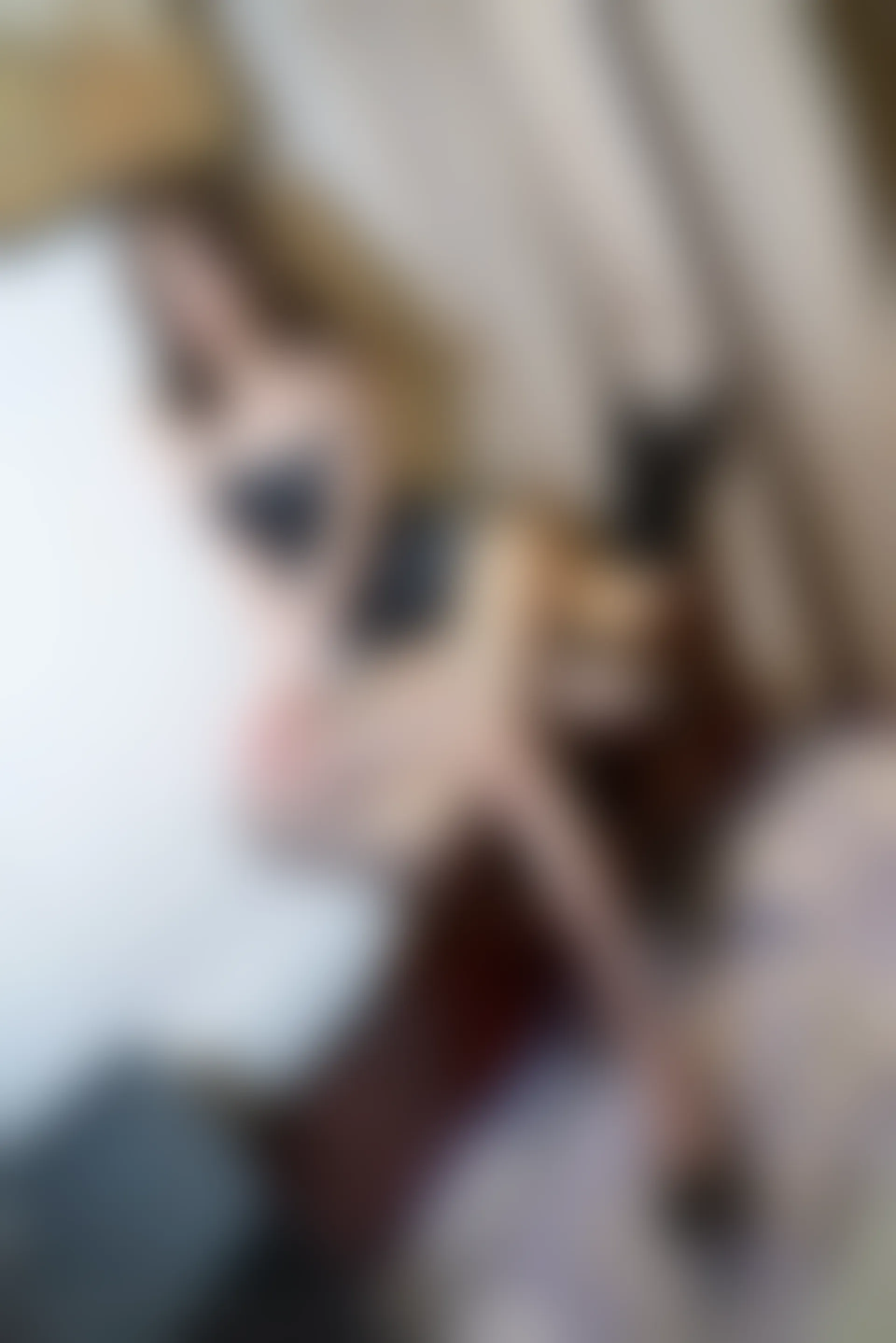 XiuRen秀人网 2021.10.28 No.4134 王心怡[75+1P／814MB]