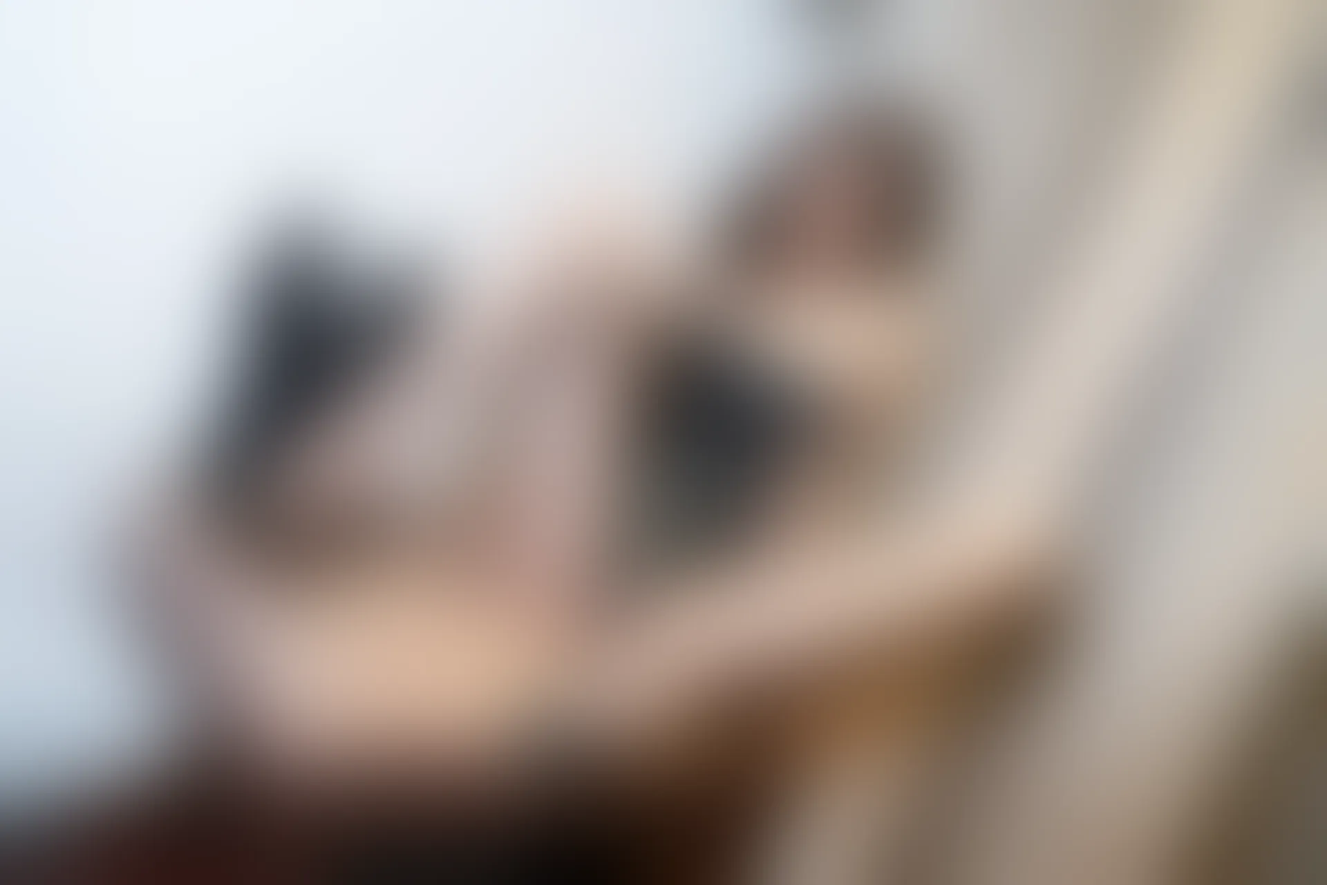 XiuRen秀人网 2021.10.28 No.4134 王心怡[75+1P／814MB]