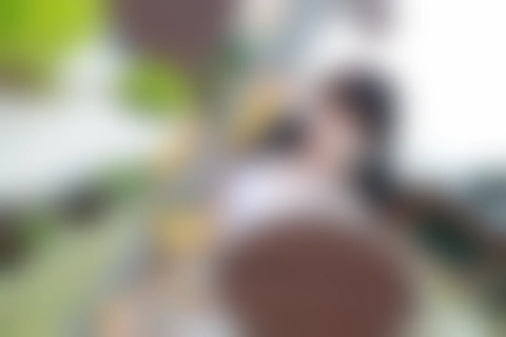 XiuRen秀人网 2015.02.02 No.291 刘飞儿Faye [53P274MB]
