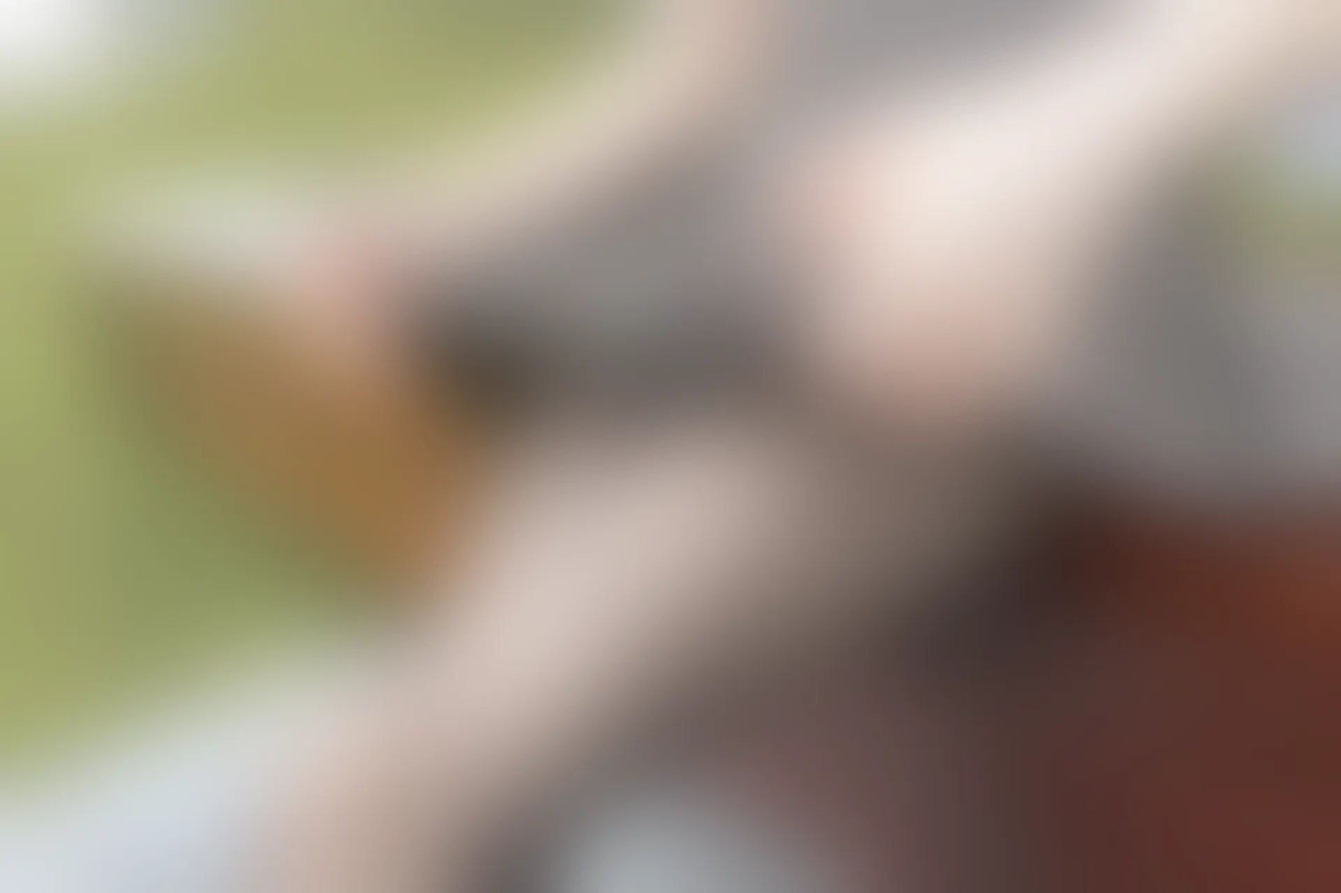 C03.005 萌萌的黑丝 [44P-107MB]