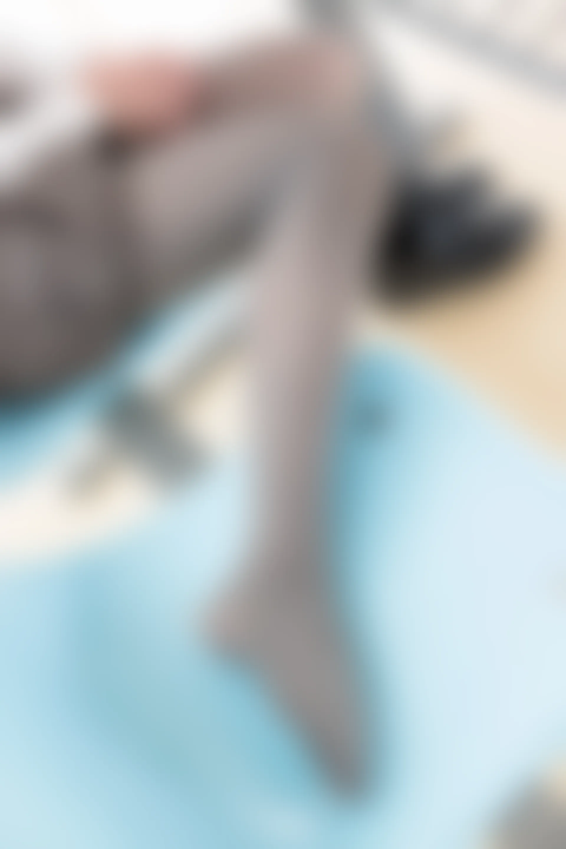 森萝财团 R15-042 [96P-549M]学生装, 森萝财团, 美腿, 黑丝