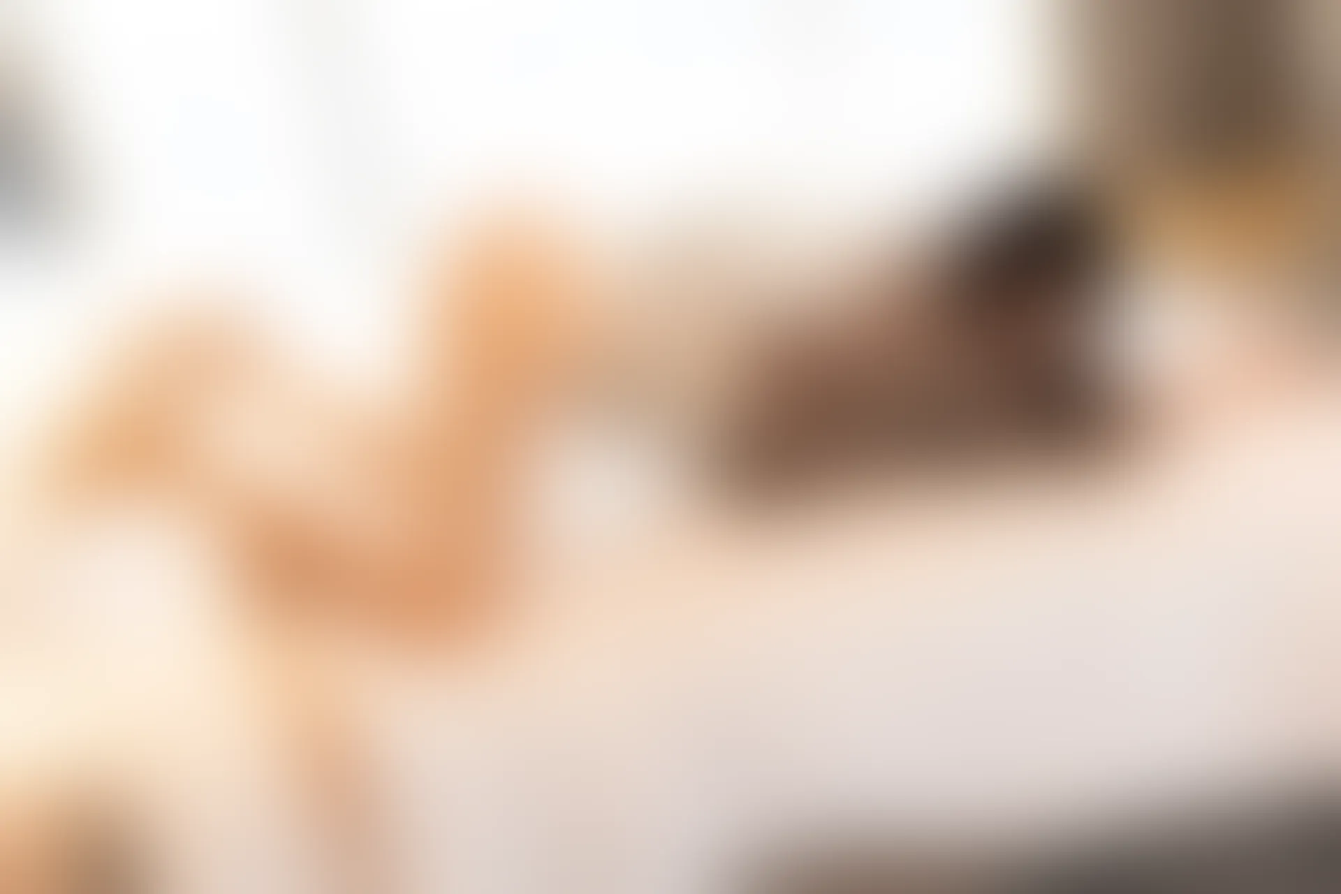 XiuRen秀人网 2022.03.09 No.4689 Arude薇薇 丝袜美腿[98+1P 904MB]