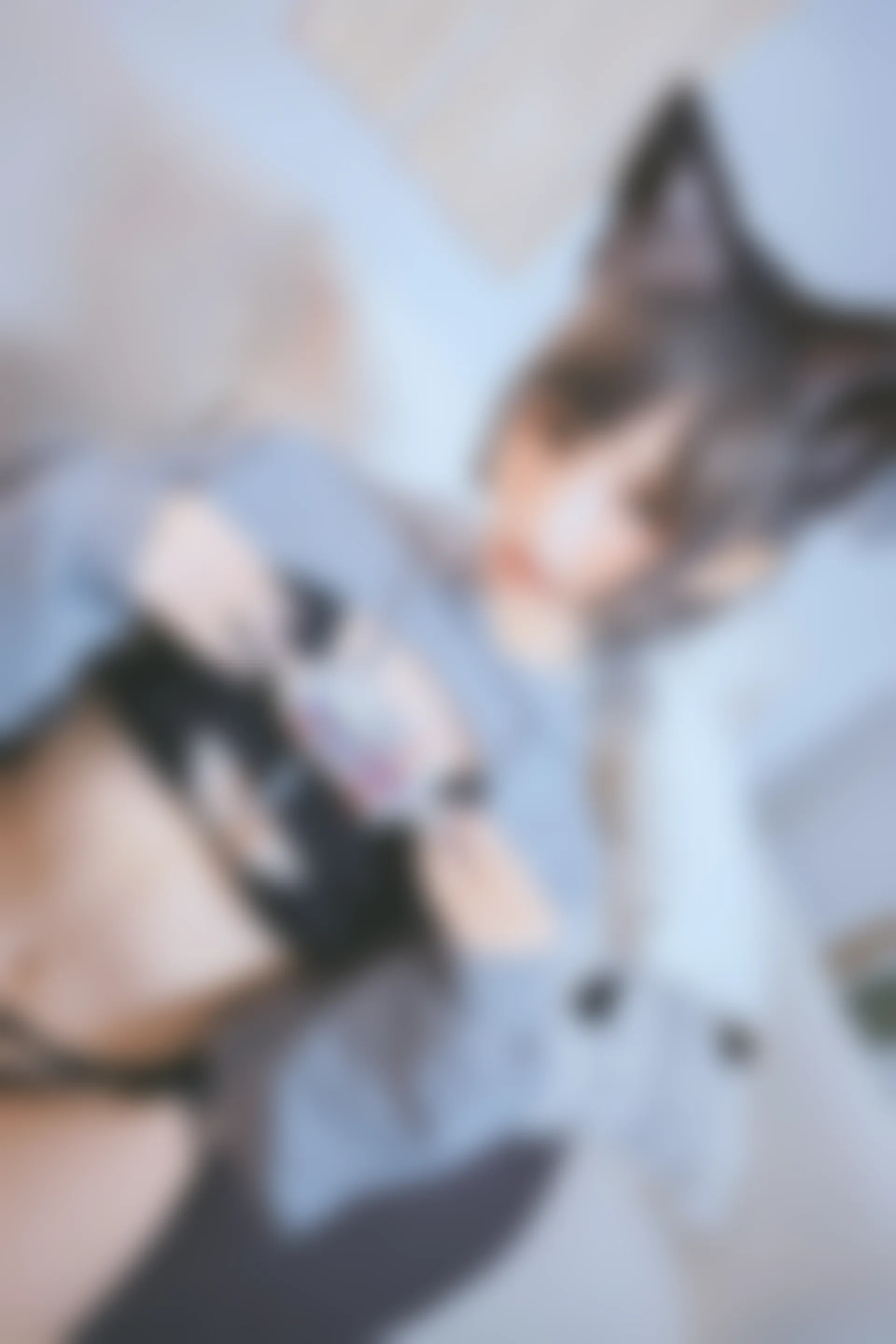 神楽坂真冬 第三季 序号4：《危険な耳》狼妹&兔娘 [150P4V-959MB]内衣, 白丝, 神楽坂真冬, 美腿, 美足, 露背毛衣, 黑丝