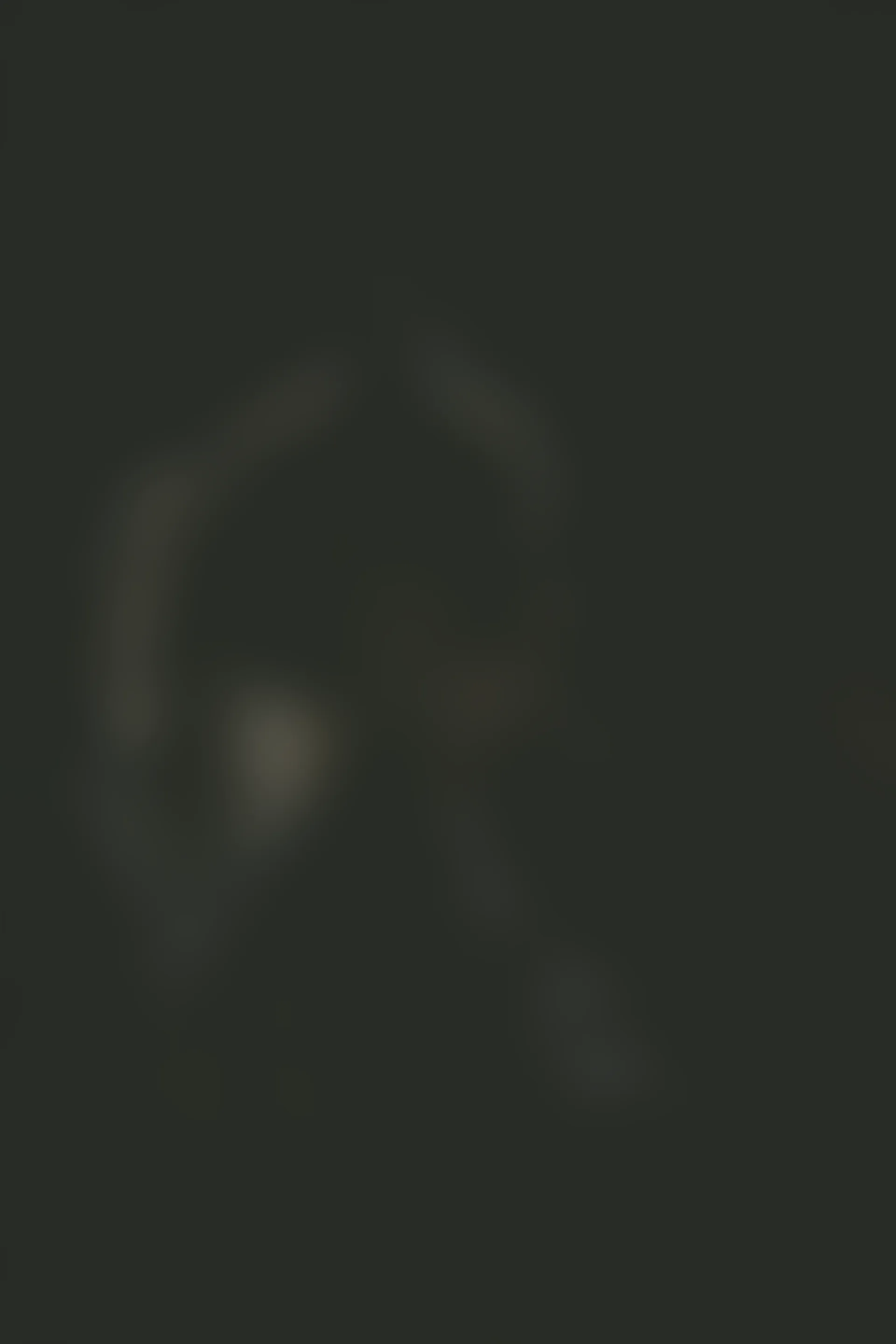 神楽坂真冬 第三季 序号4：《危険な耳》狼妹&兔娘 [150P4V-959MB]内衣, 白丝, 神楽坂真冬, 美腿, 美足, 露背毛衣, 黑丝