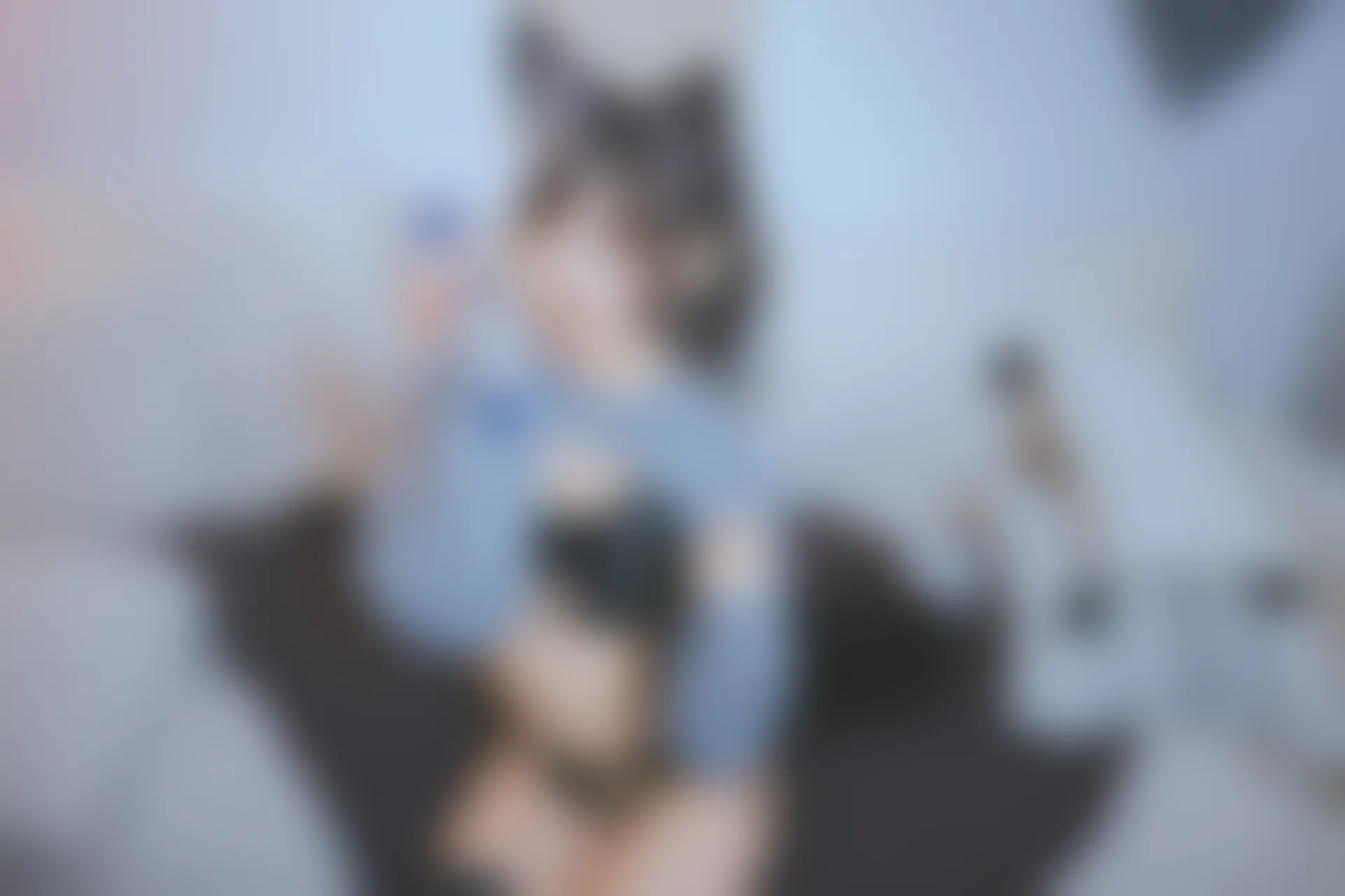 神楽坂真冬 第三季 序号4：《危険な耳》狼妹&兔娘 [150P4V-959MB]内衣, 白丝, 神楽坂真冬, 美腿, 美足, 露背毛衣, 黑丝