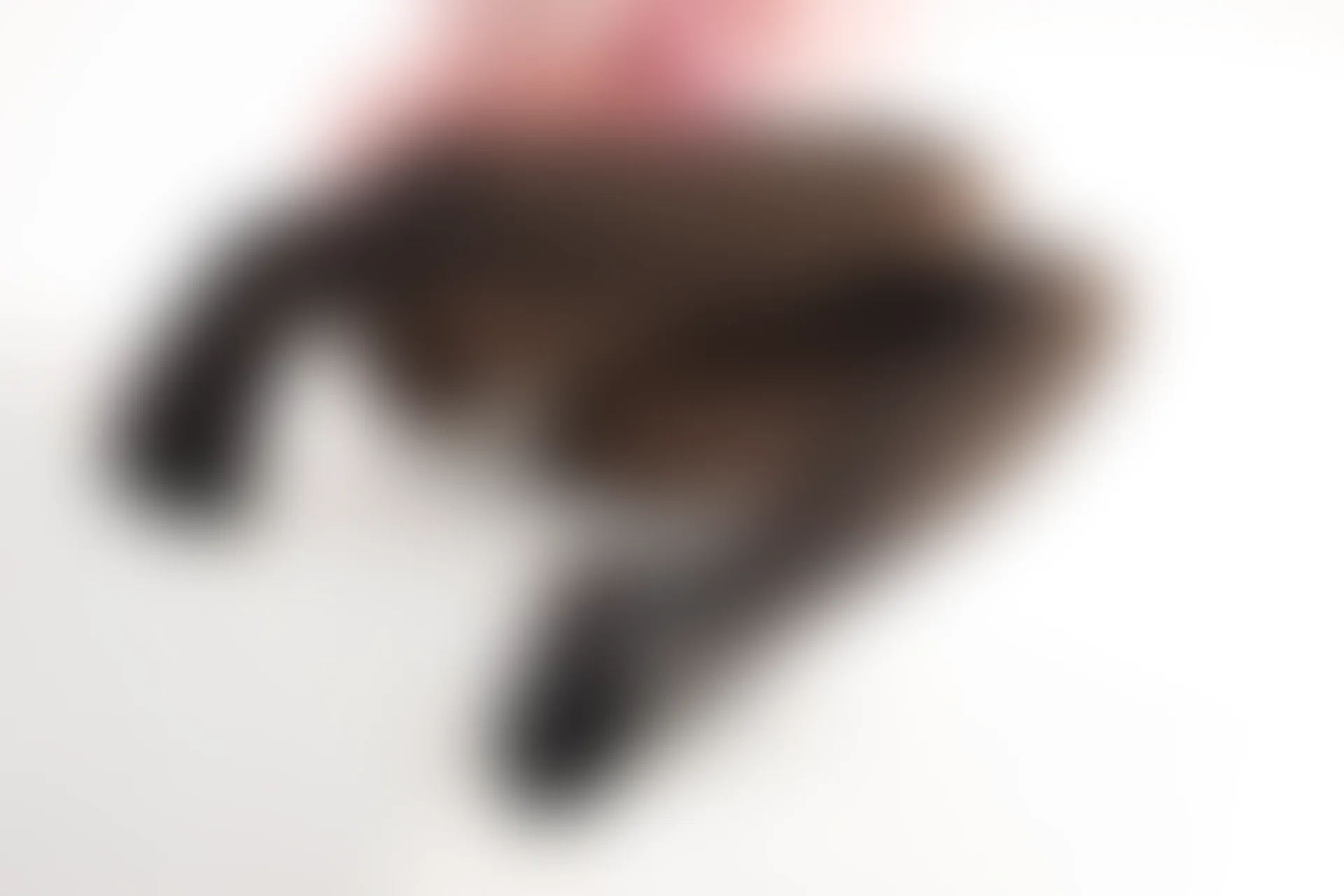 紧急企划 VOL.012 [98P1V-1.19G] 一只喵喵梓一只喵喵梓, 可爱, 白丝, 紧急企划, 美腿, 美足, 超短裙, 黑丝