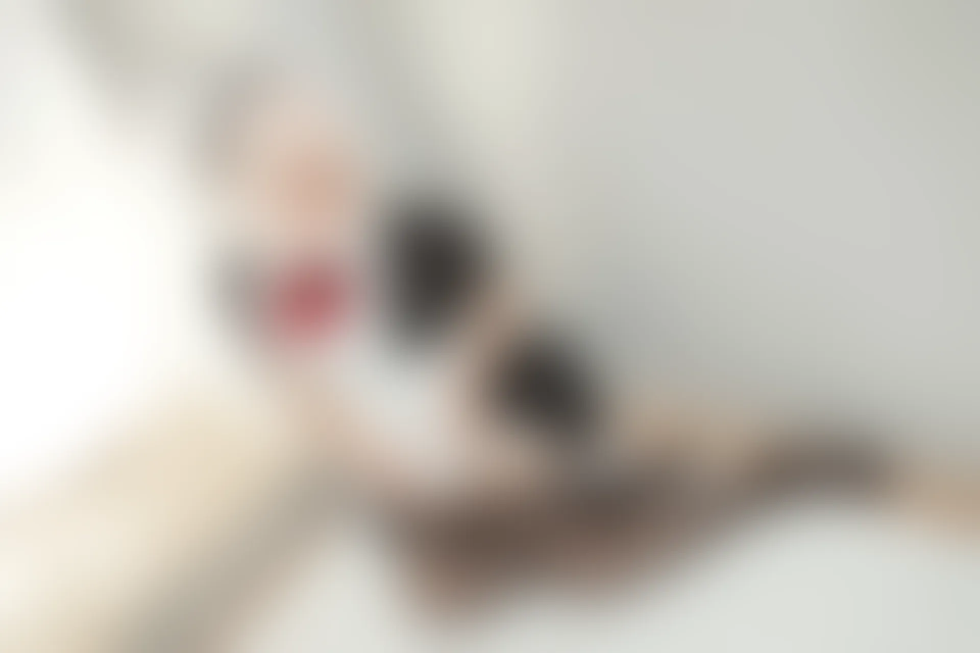 轻兰映画 Grand.019 黑丝女仆 [63P1V-777.5MB]女仆, 美腿, 美足, 轻兰映画, 黑丝