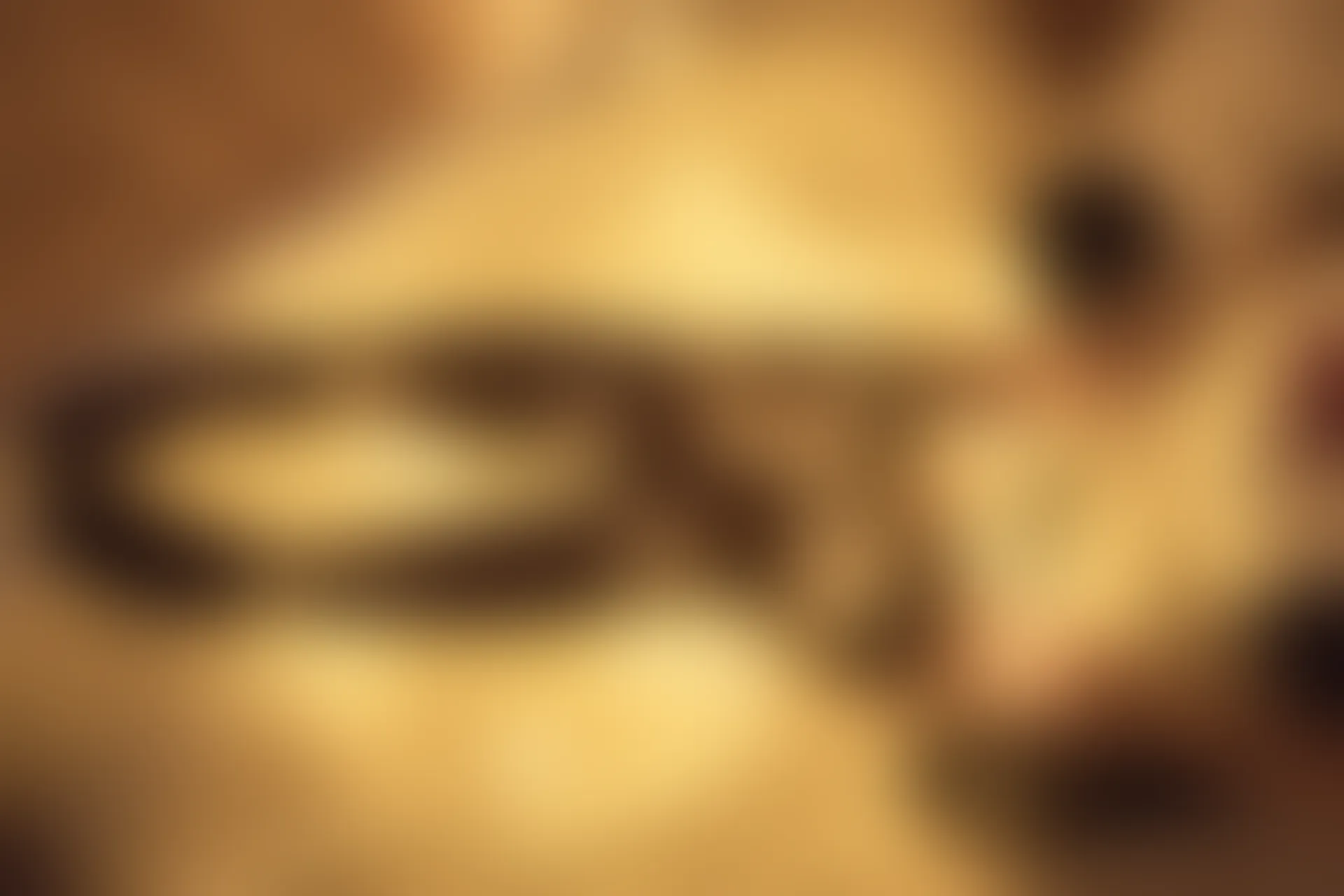 轻兰映画 Grand.019 黑丝女仆 [63P1V-777.5MB]女仆, 美腿, 美足, 轻兰映画, 黑丝