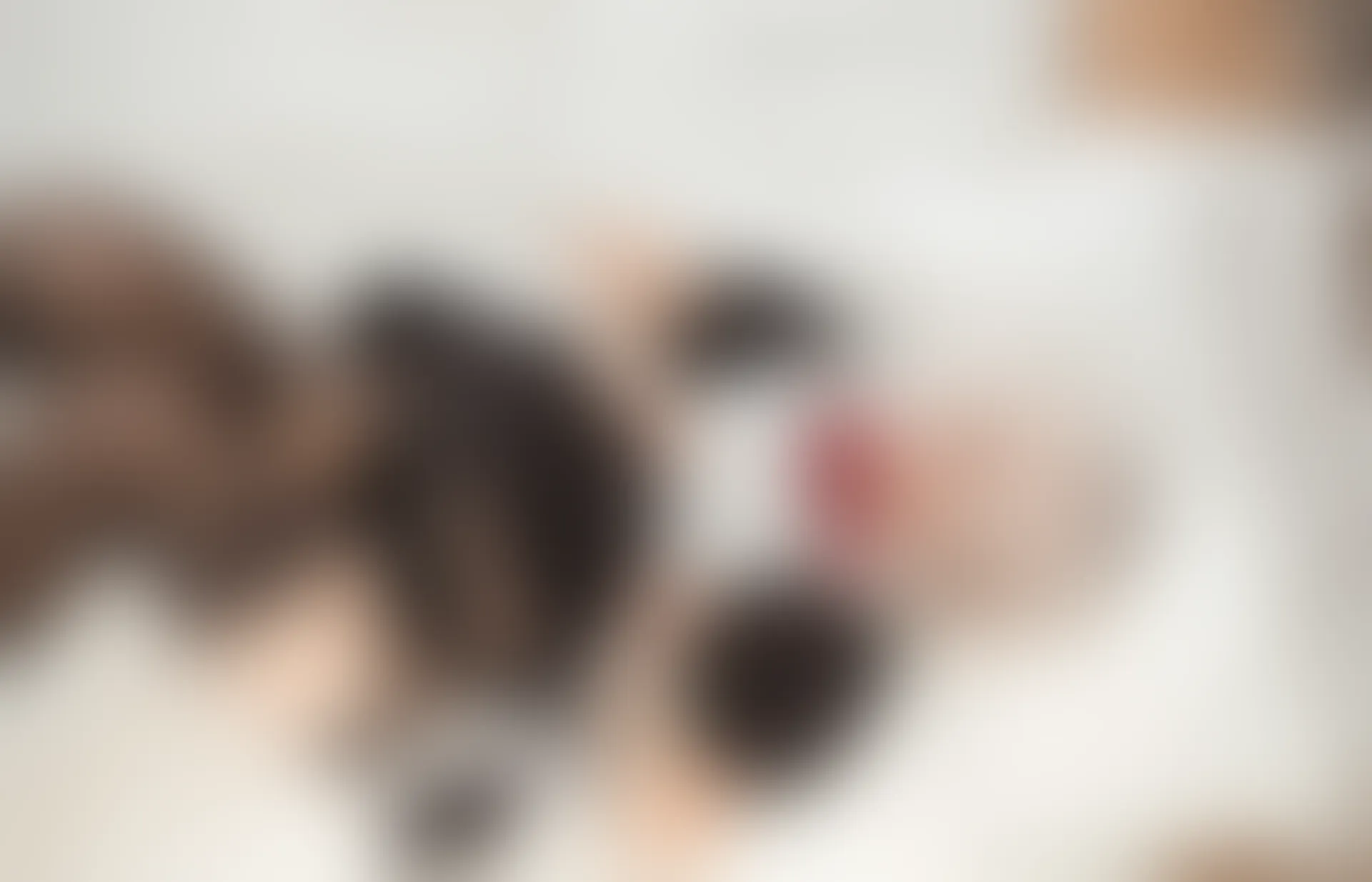 轻兰映画 Grand.019 黑丝女仆 [63P1V-777.5MB]女仆, 美腿, 美足, 轻兰映画, 黑丝