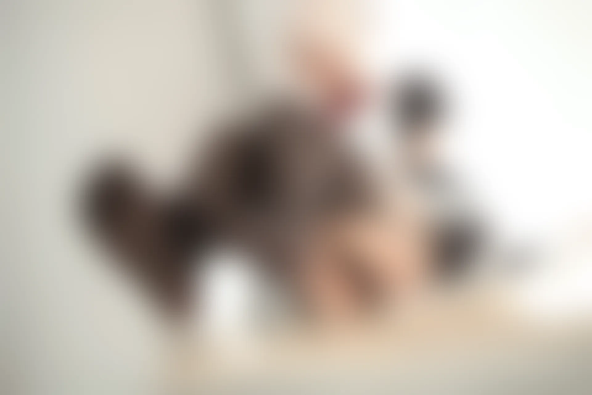 轻兰映画 Grand.019 黑丝女仆 [63P1V-777.5MB]女仆, 美腿, 美足, 轻兰映画, 黑丝