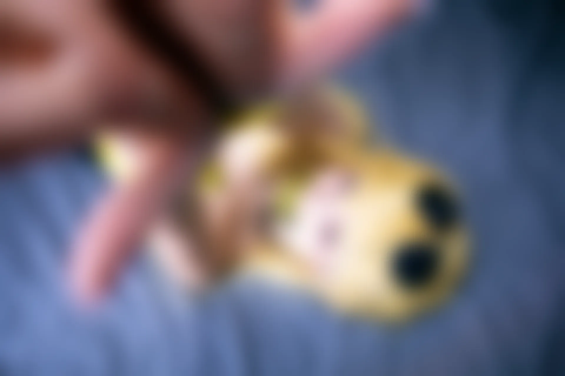 神楽坂真冬 第三季 序号14：《立入禁止》 [150P2V-767MB]_内衣, 双马尾, 神楽坂真冬, 美腿, 美足, 高跟鞋, 黑丝