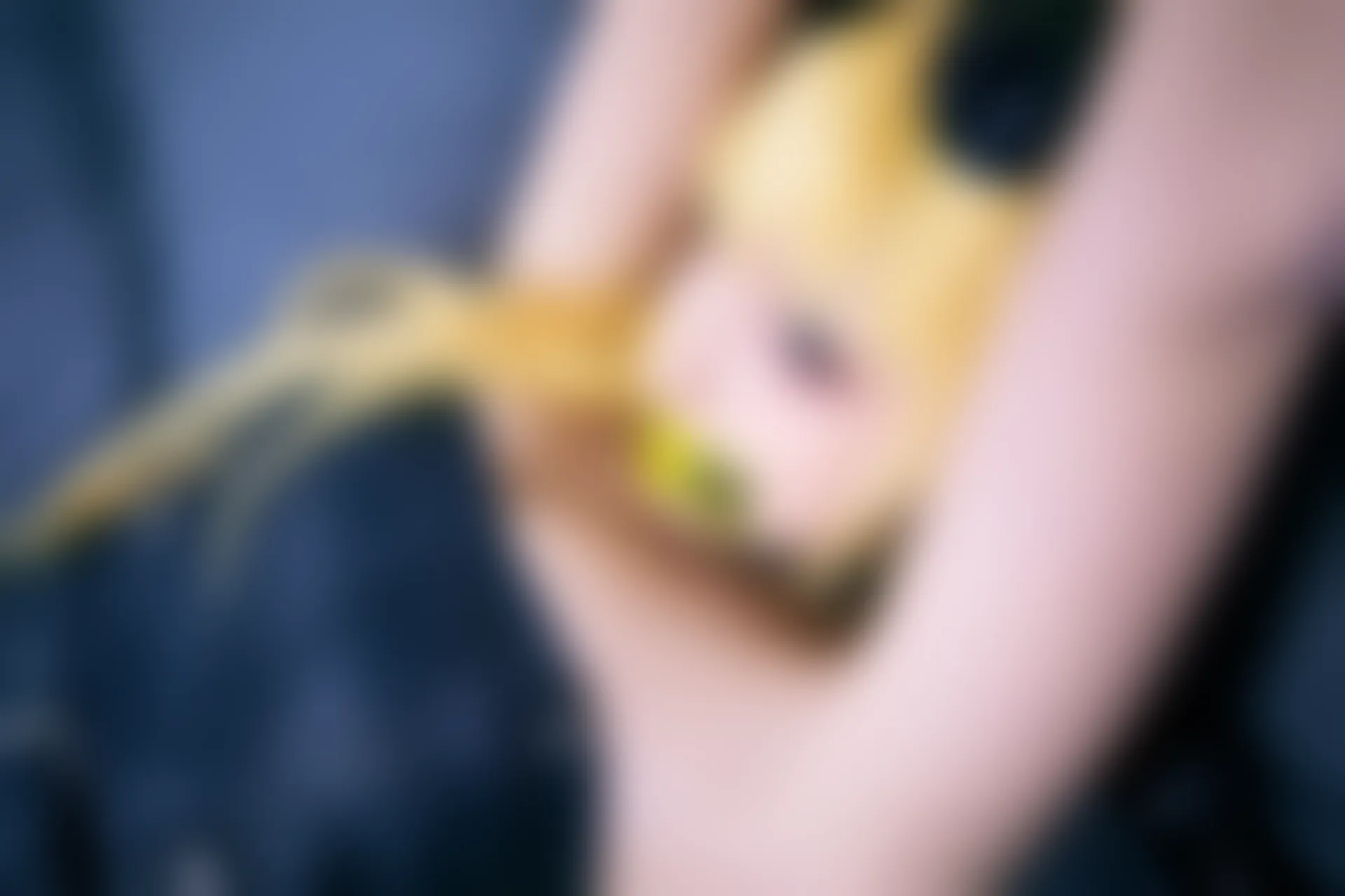 神楽坂真冬 第三季 序号14：《立入禁止》 [150P2V-767MB]_内衣, 双马尾, 神楽坂真冬, 美腿, 美足, 高跟鞋, 黑丝