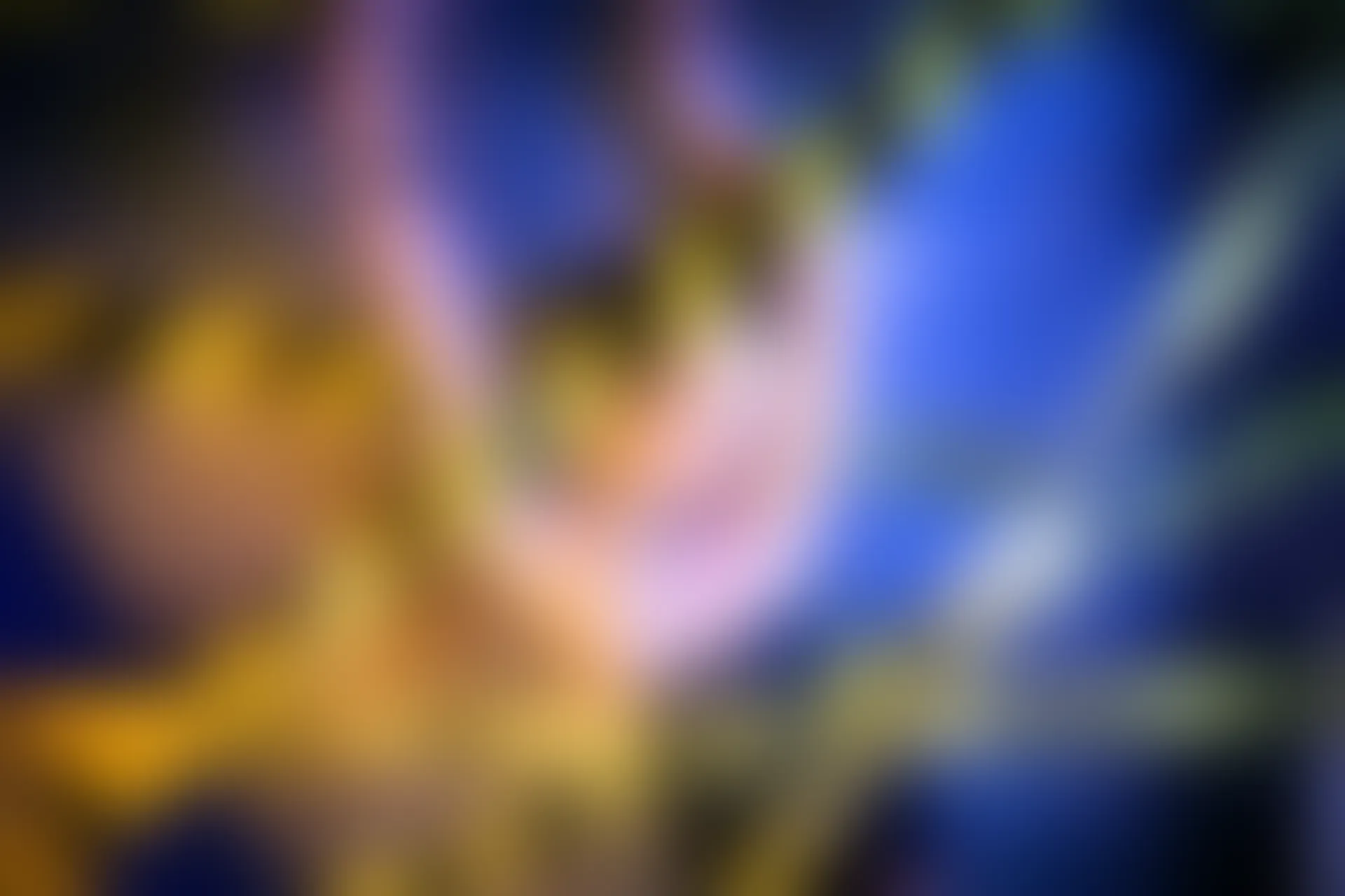 神楽坂真冬 第三季 序号14：《立入禁止》 [150P2V-767MB]_内衣, 双马尾, 神楽坂真冬, 美腿, 美足, 高跟鞋, 黑丝