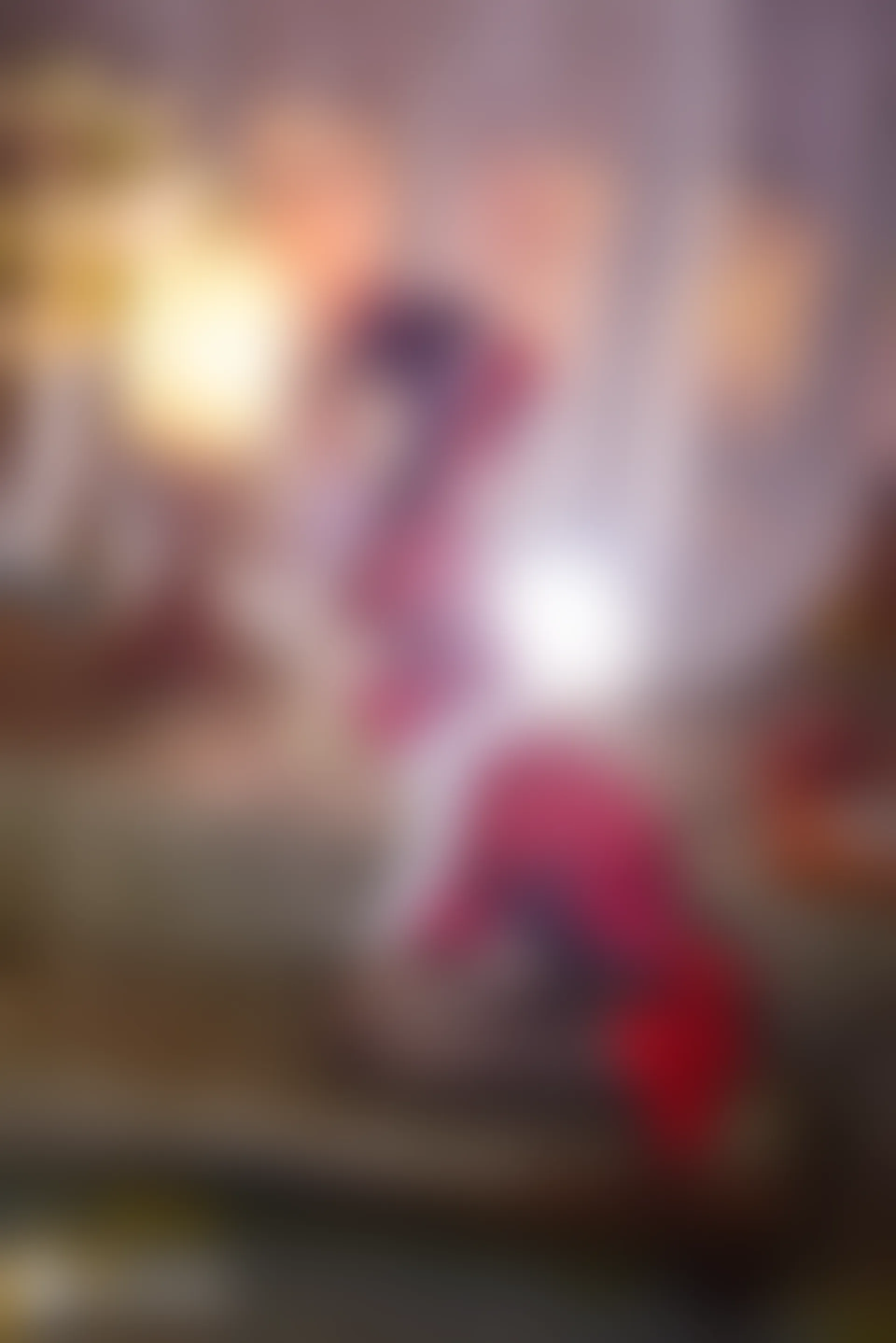 C00.006 学姐旗袍 [45P-1.13GB]