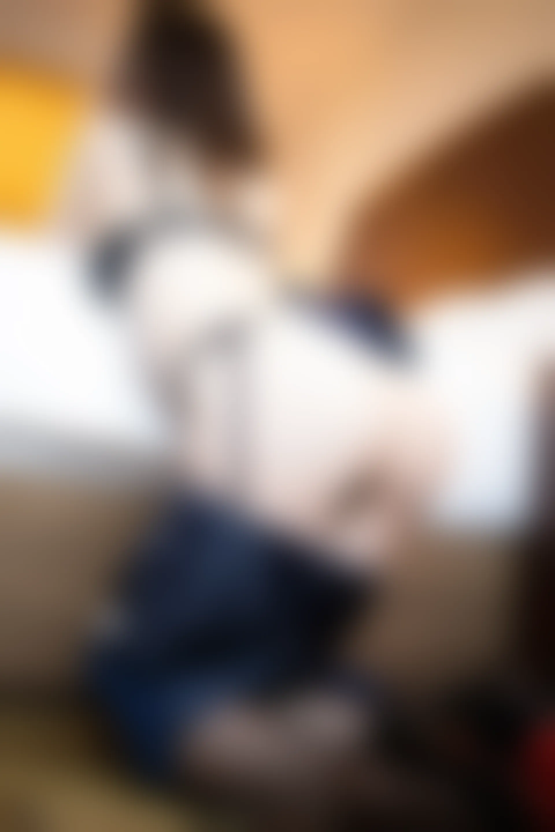 XiuRen秀人网 2019.10.24 No.1747 梦心月 [76+1P]