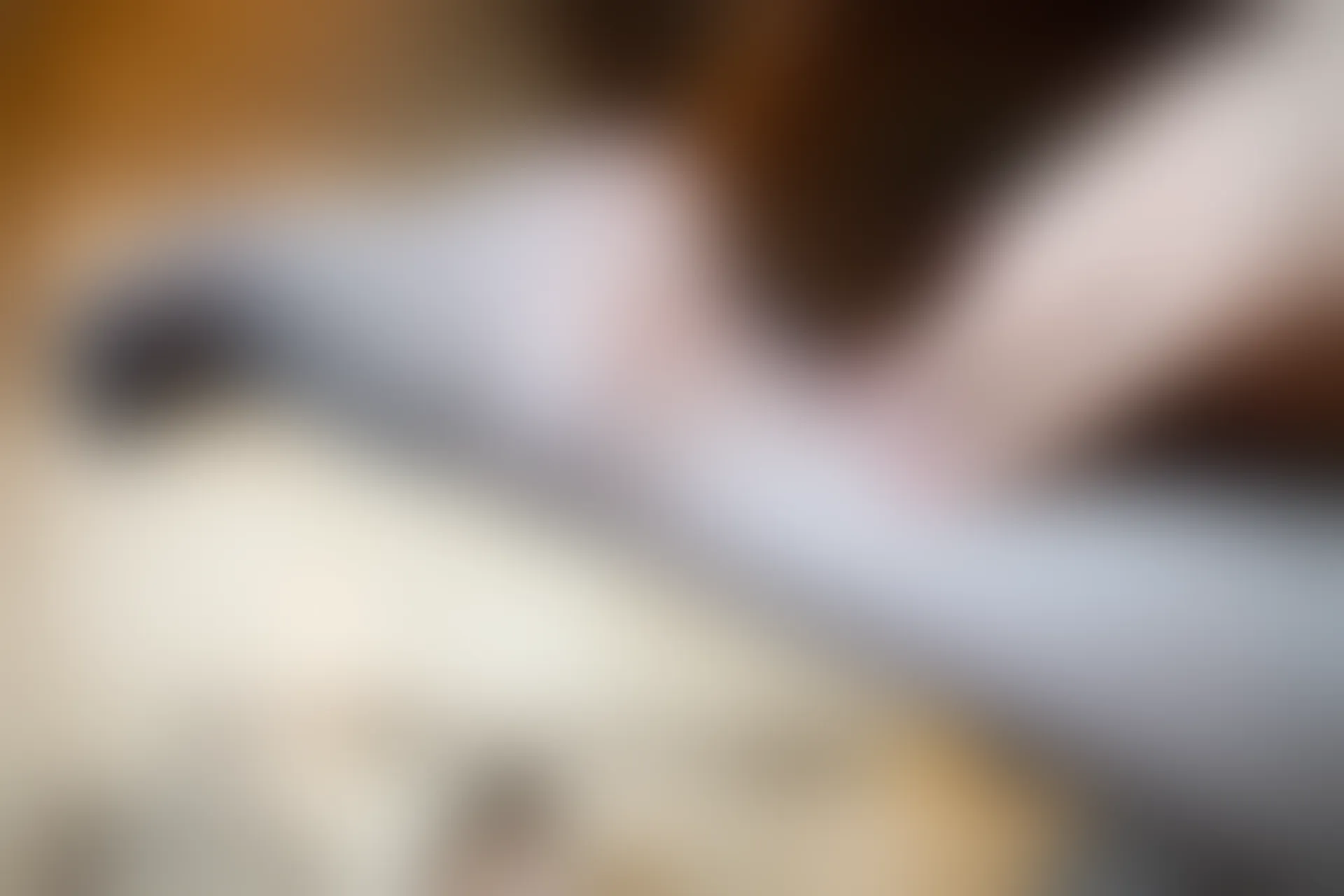 XiuRen秀人网 2019.10.24 No.1747 梦心月 [76+1P]