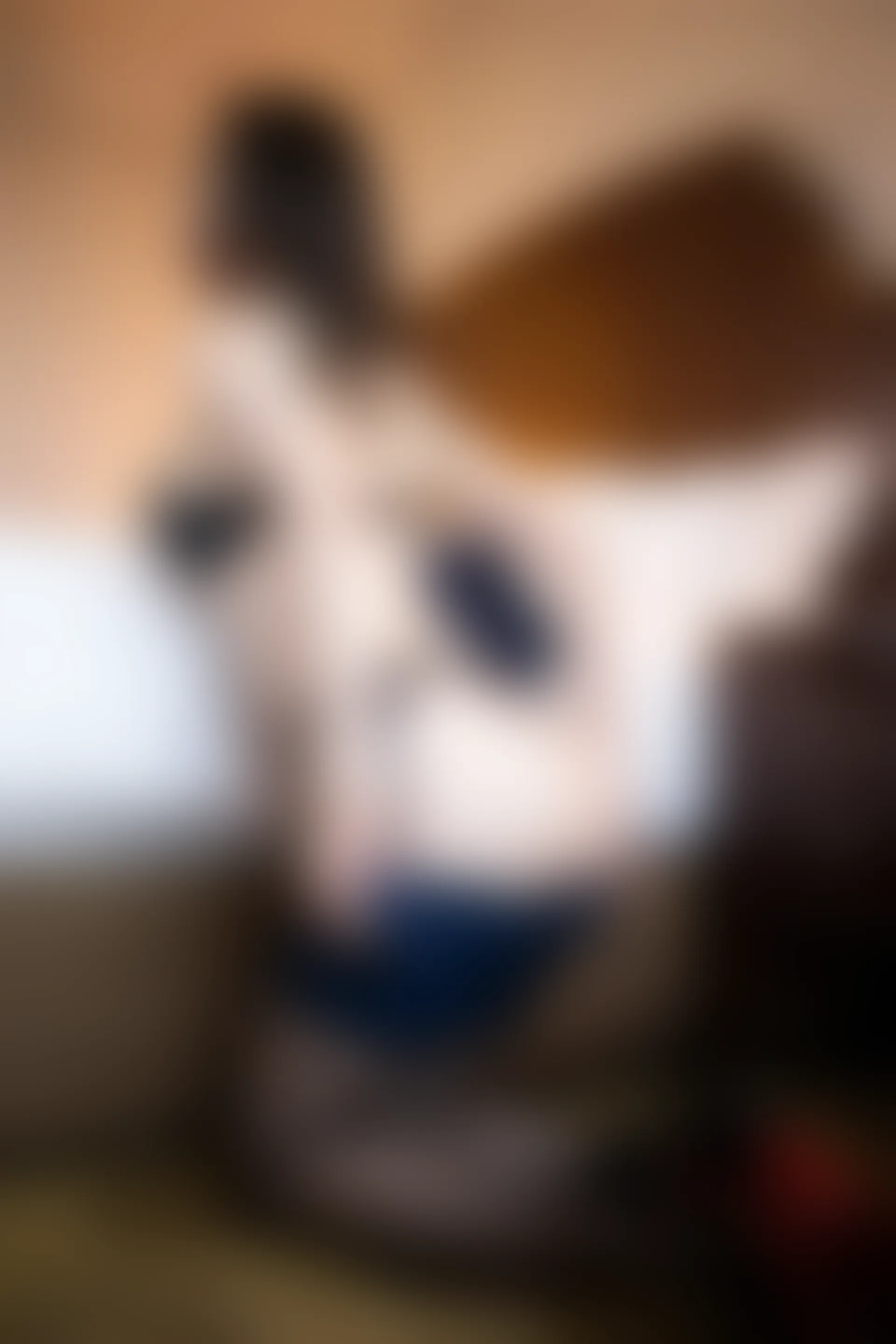 XiuRen秀人网 2019.10.24 No.1747 梦心月 [76+1P]