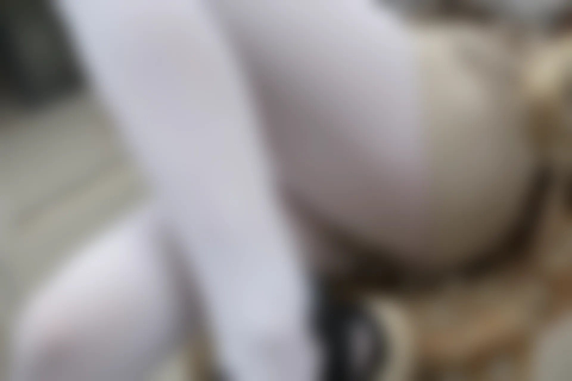 萝财团 FREE-001 [59P-294M] 标签：森萝财团, 白丝