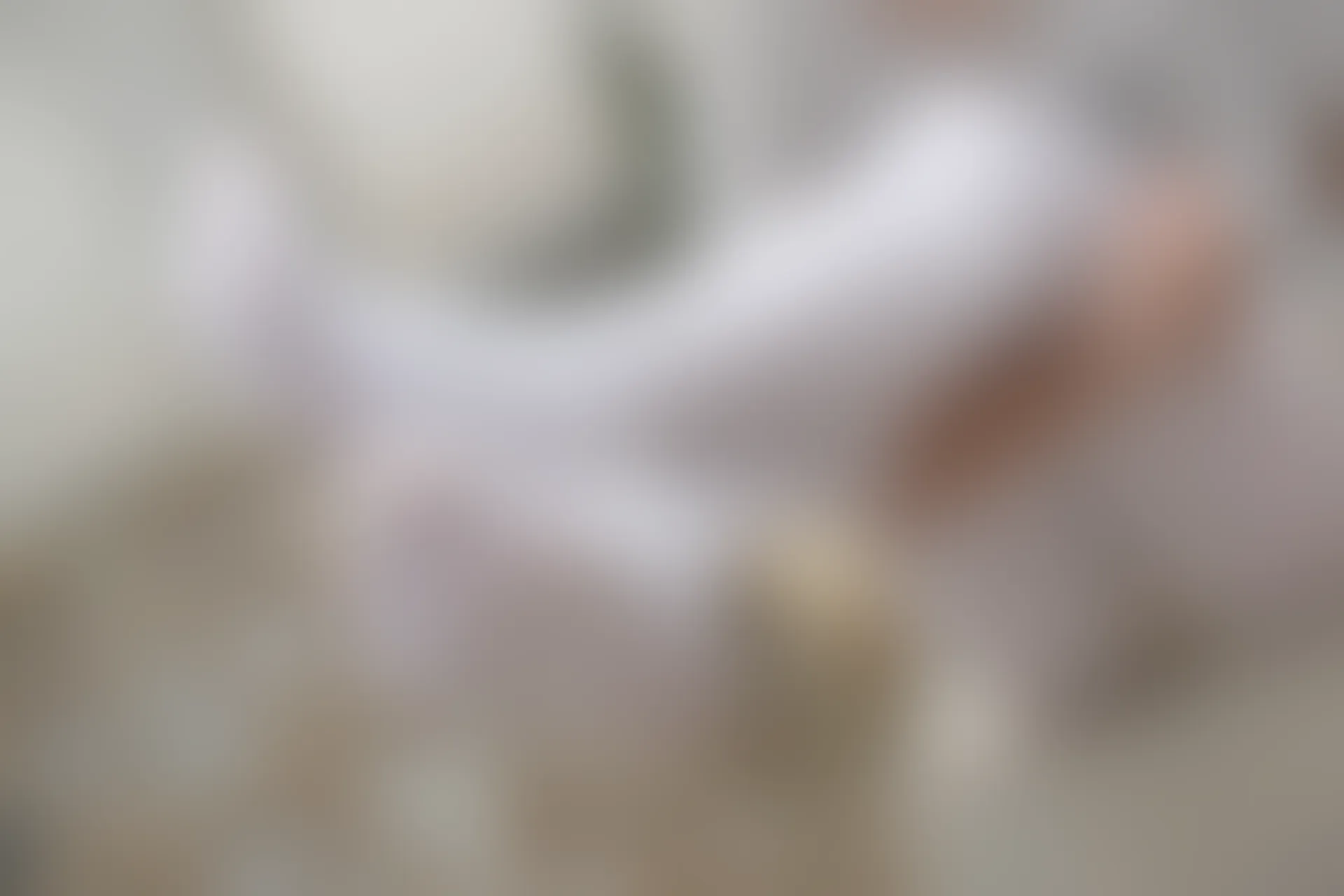 萝财团 FREE-001 [59P-294M] 标签：森萝财团, 白丝