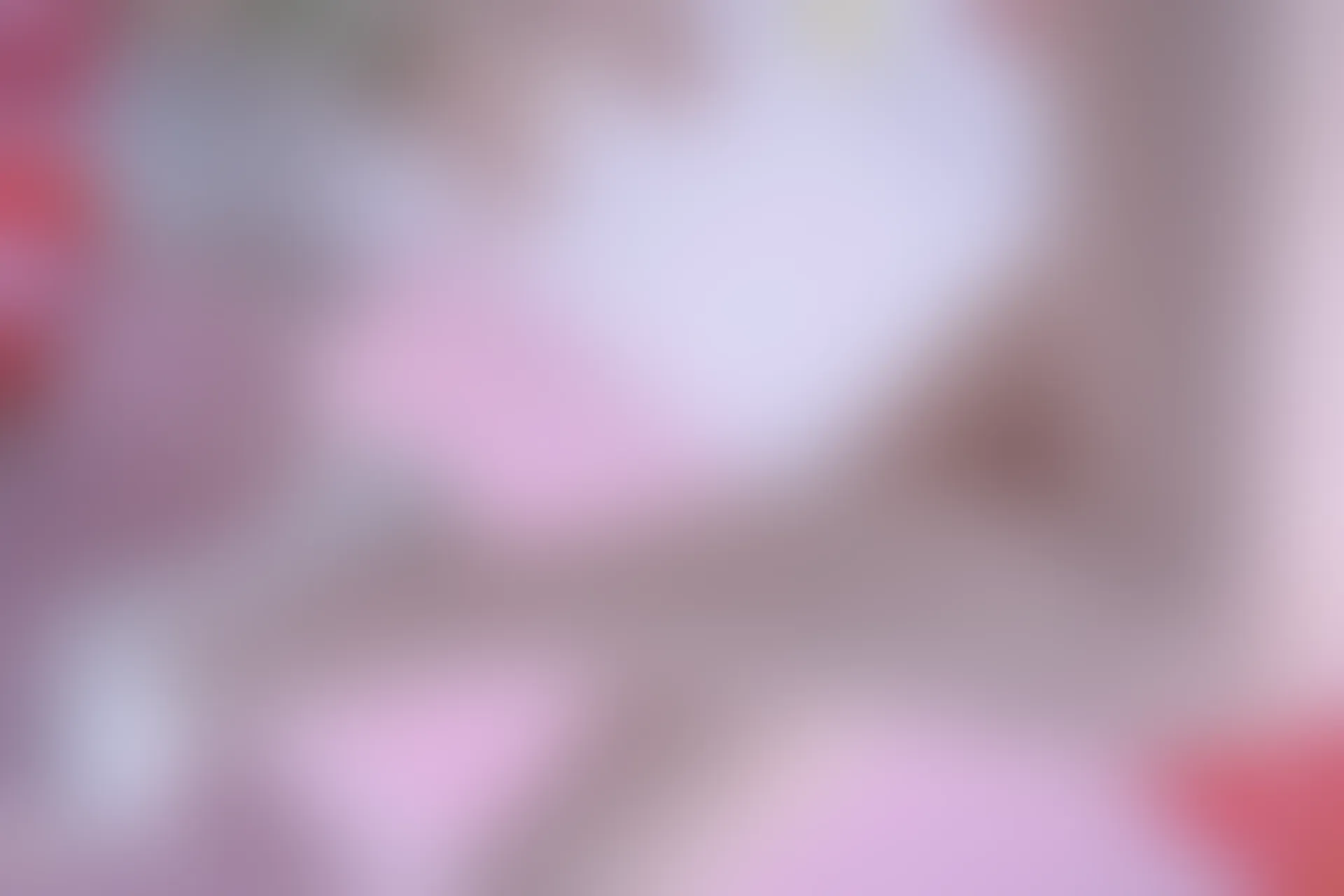 C06.005 连丝袜都是爱你的形状 [45P-883MB]