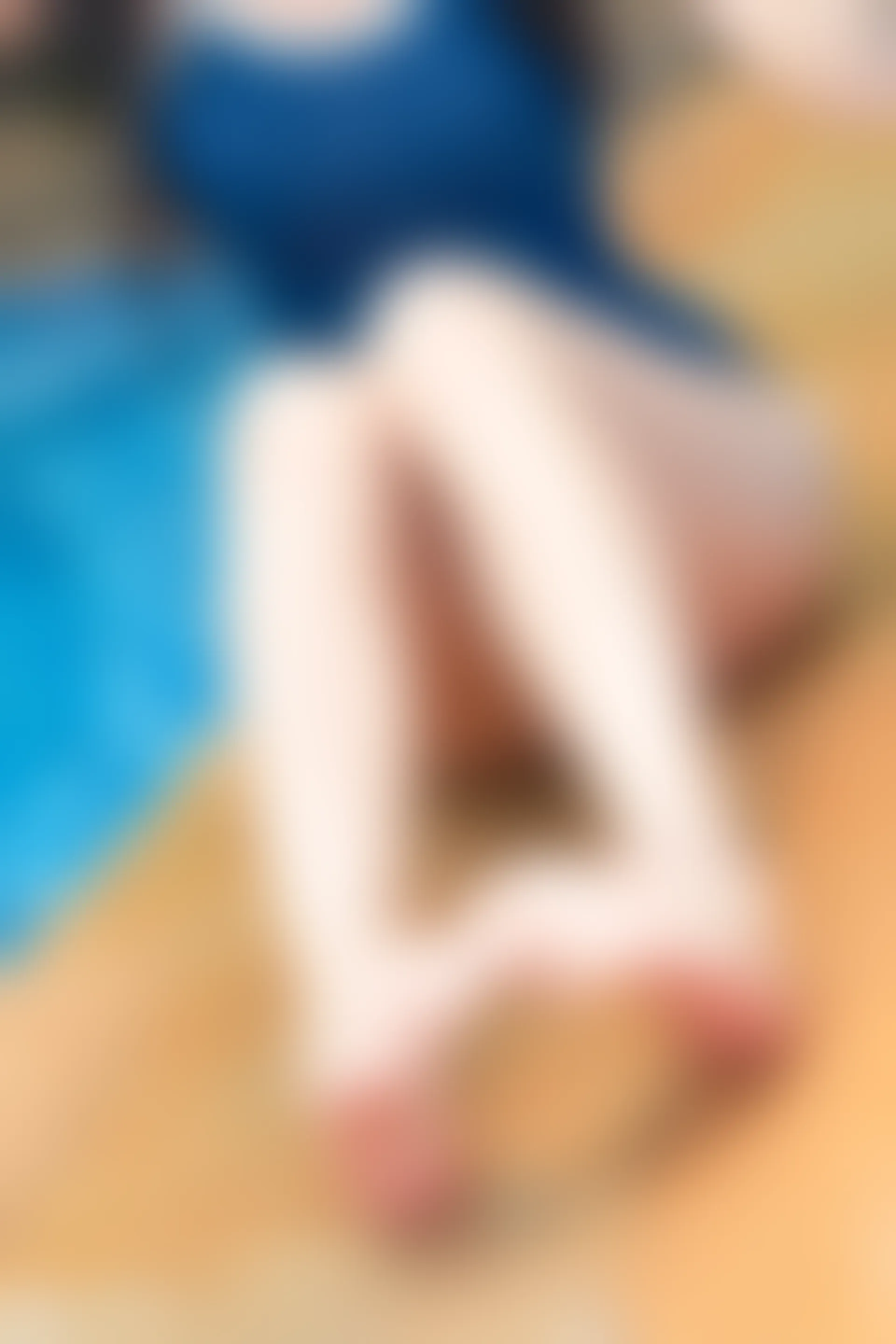 兔玩映画 夏日泳装 Vol.040 夏の色 [41P-518MB]