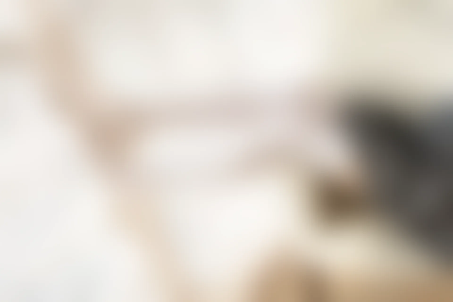 C43.003 黄昏里的白丝 [40P-81MB]