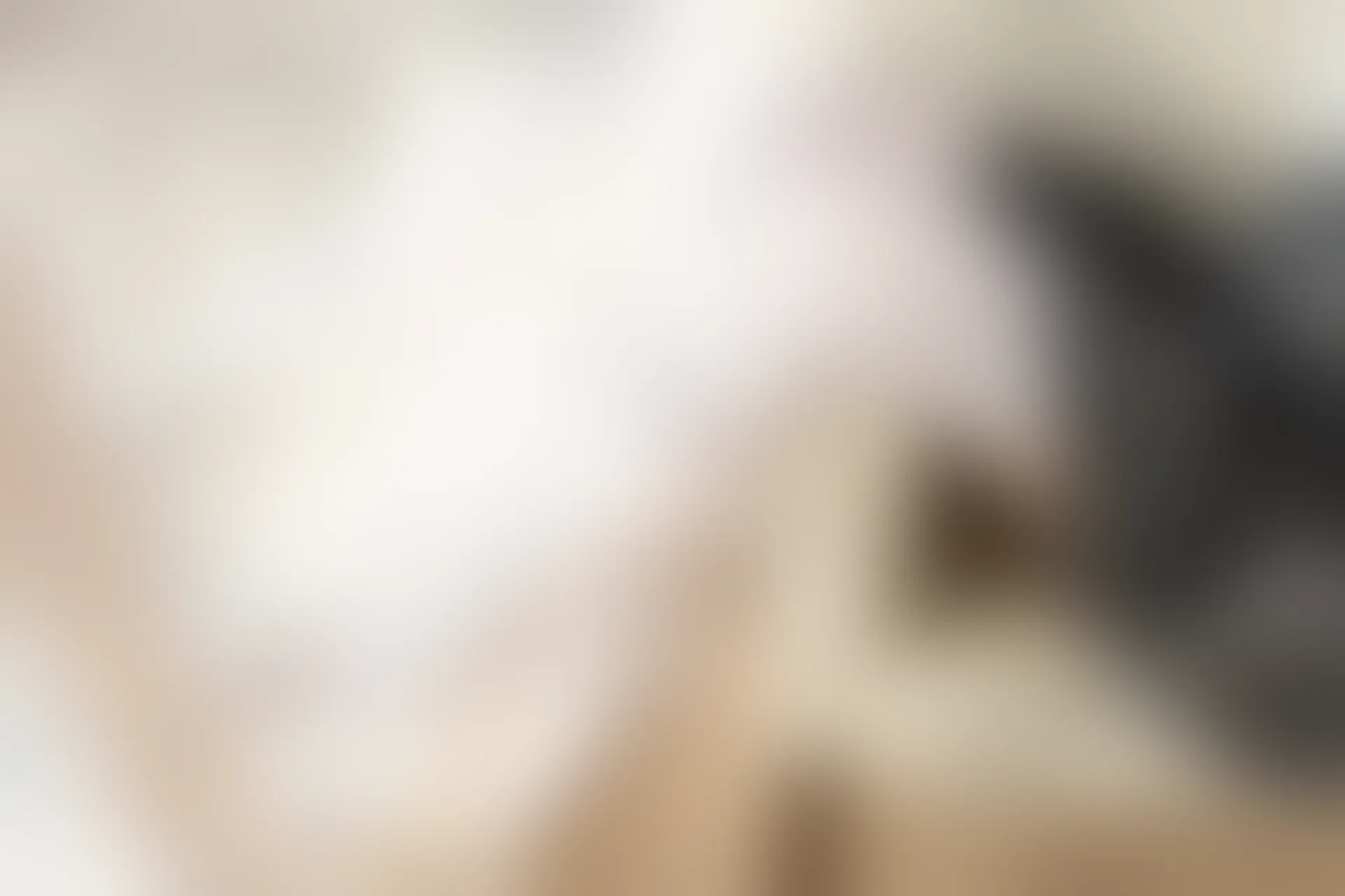 C43.003 黄昏里的白丝 [40P-81MB]