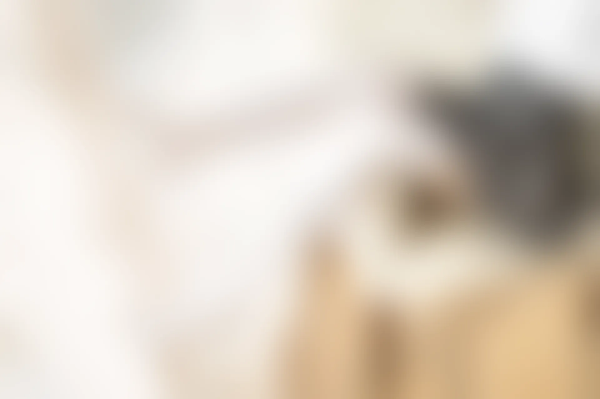 C43.003 黄昏里的白丝 [40P-81MB]