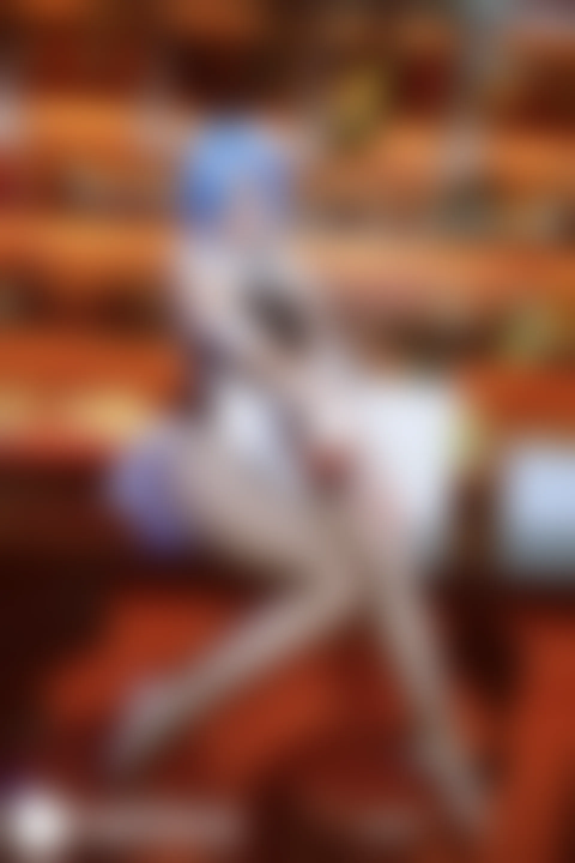 C39.004 蕾姆兔女郎 [42P-404MB]