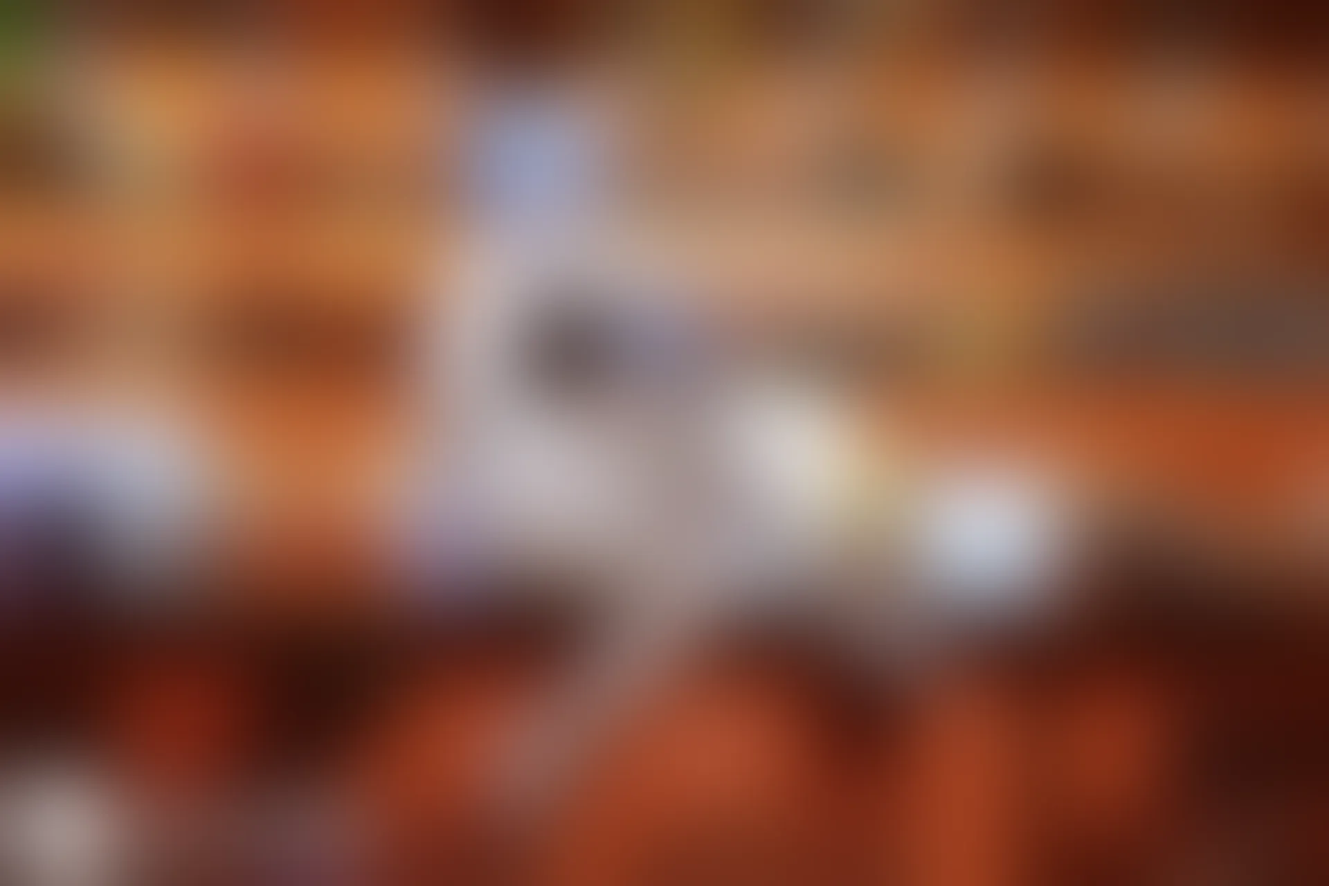 C39.004 蕾姆兔女郎 [42P-404MB]