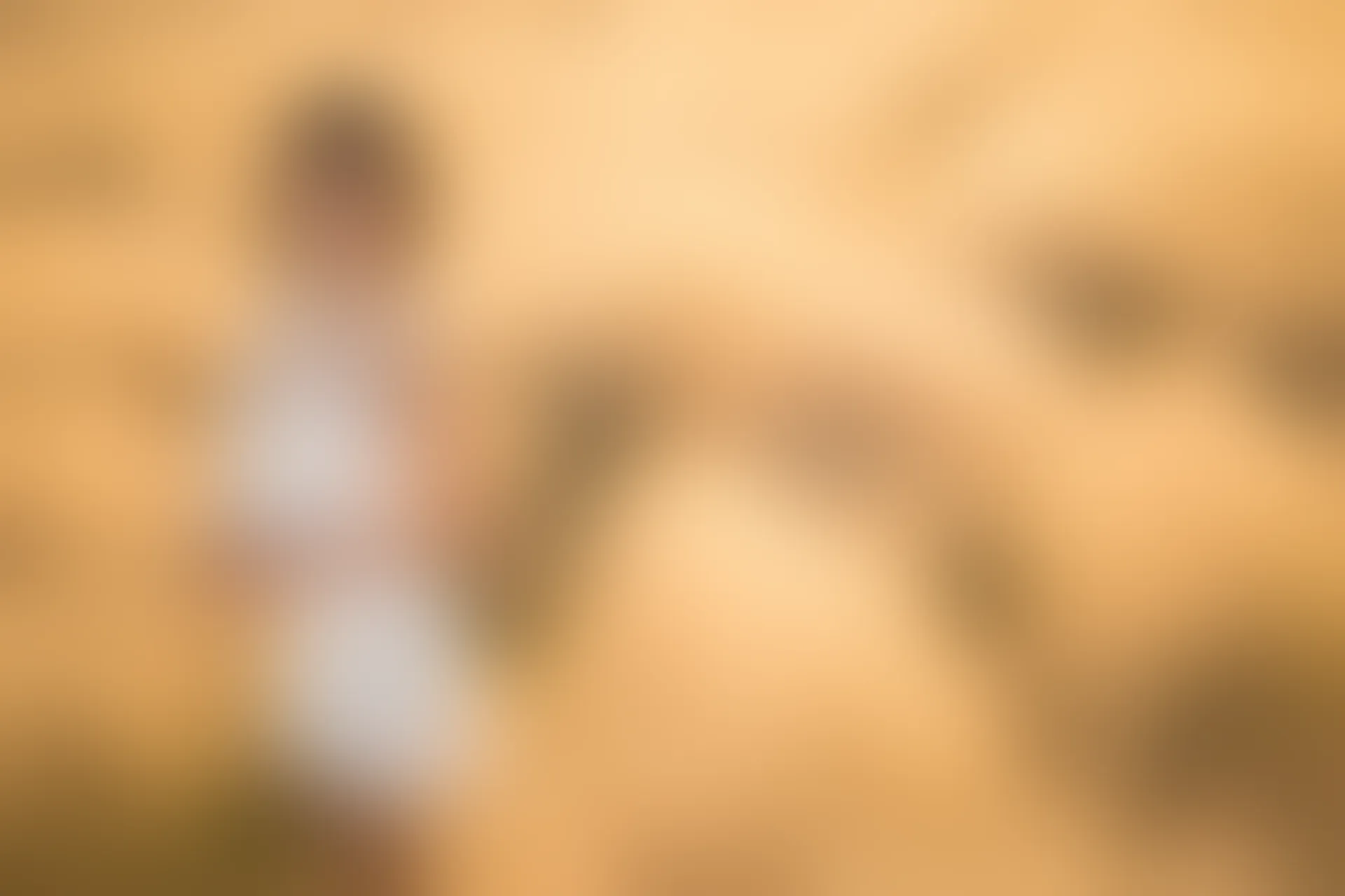 XiuRen秀人网 2017.11.08 No.847 杨晨晨sugar[50+1P177M]