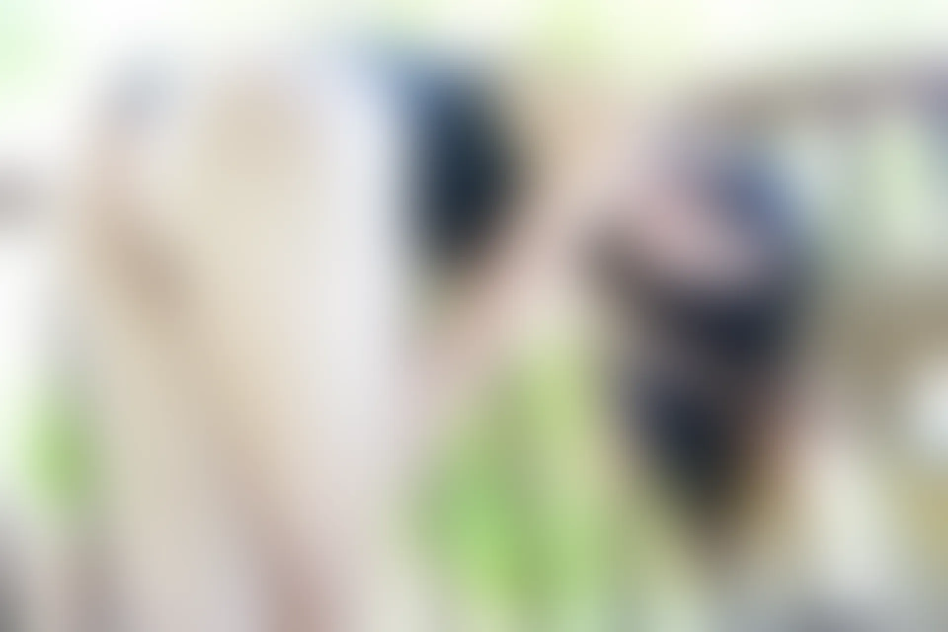 XiuRen秀人网 2016.07.01 No.554 Manuela玛鲁娜 [47P-232MB]