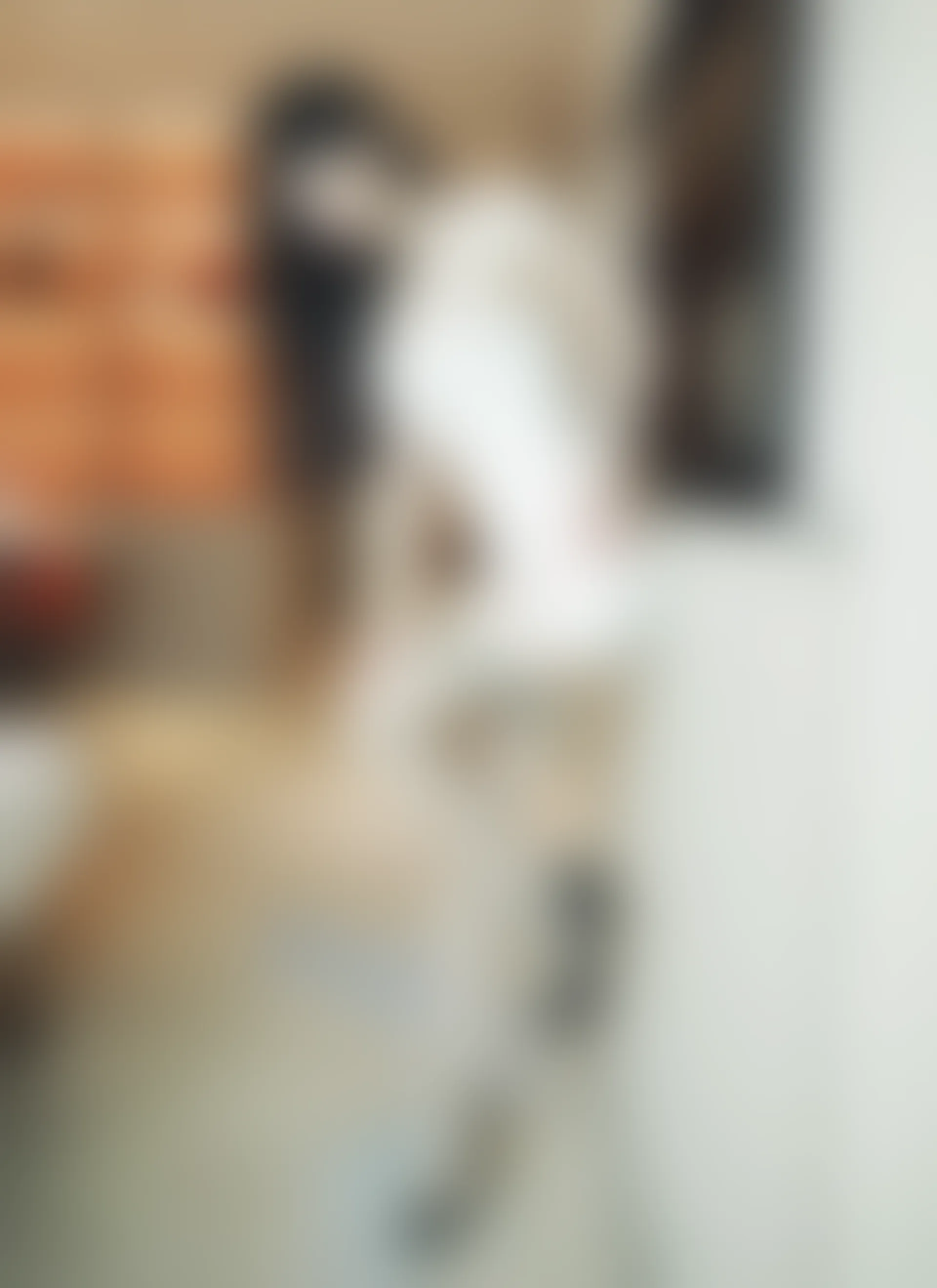 XiuRen秀人网 2021.12.22 No.4368 诗诗kiki 性感美腿[65+1P 595MB]