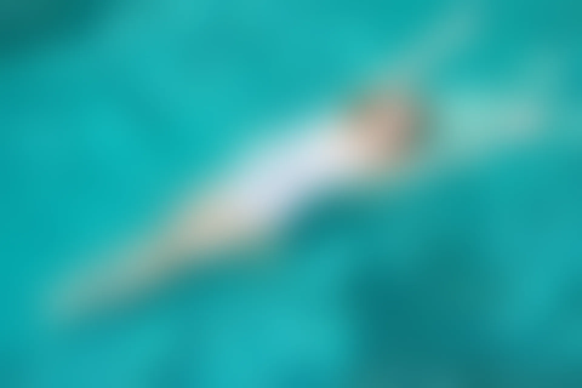 XiuRen秀人网 2016.08.30 No.589 刘娅希[48+1P177M]