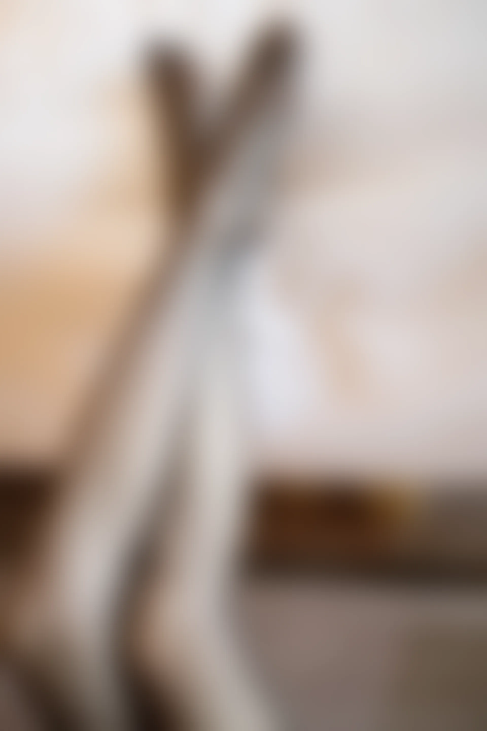 XiuRen秀人网 2019.10.15 No.1731 杨晨晨sugar