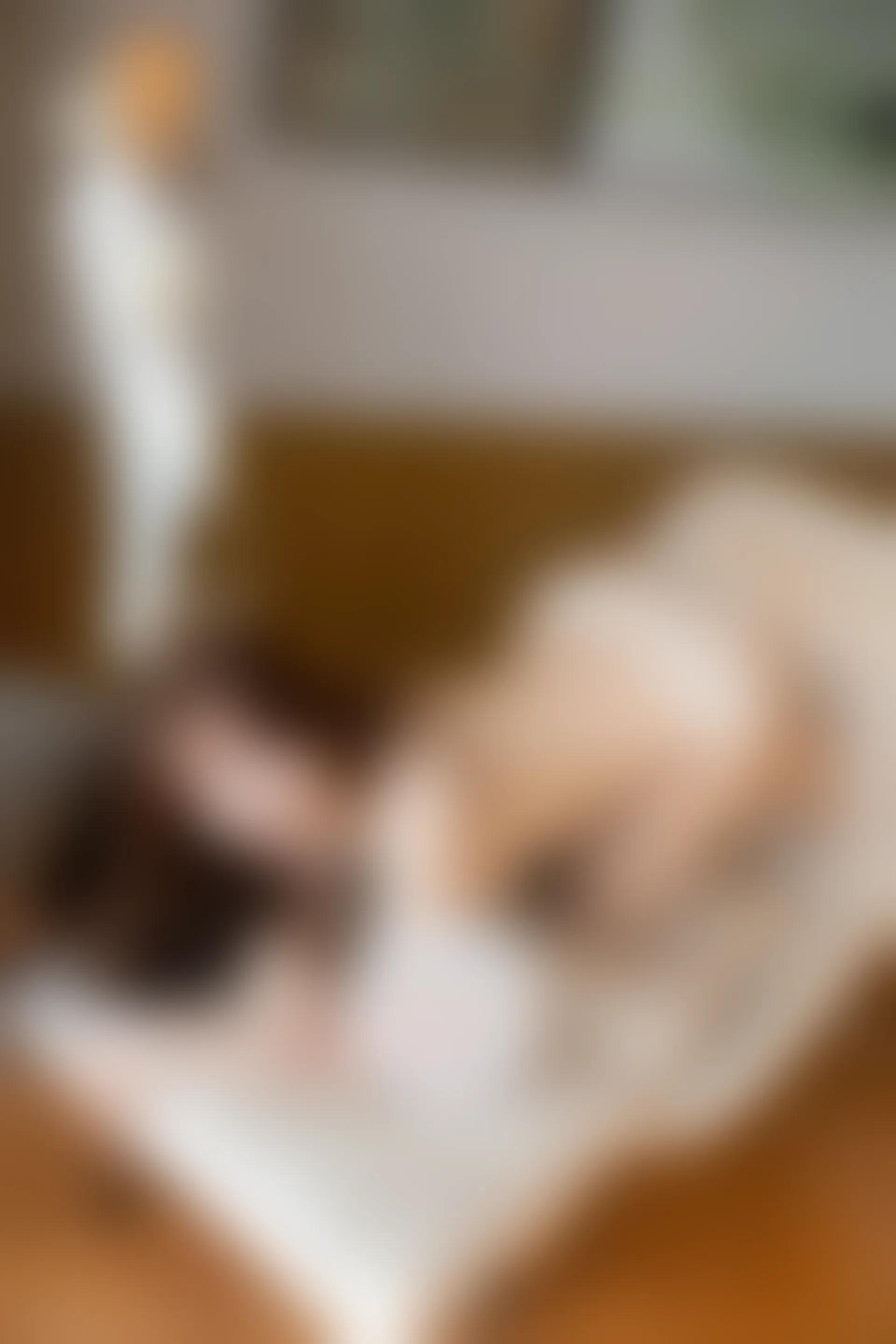 XIUREN秀人网 2023.08.21 NO.7262 江真真[79+1P／718MB]