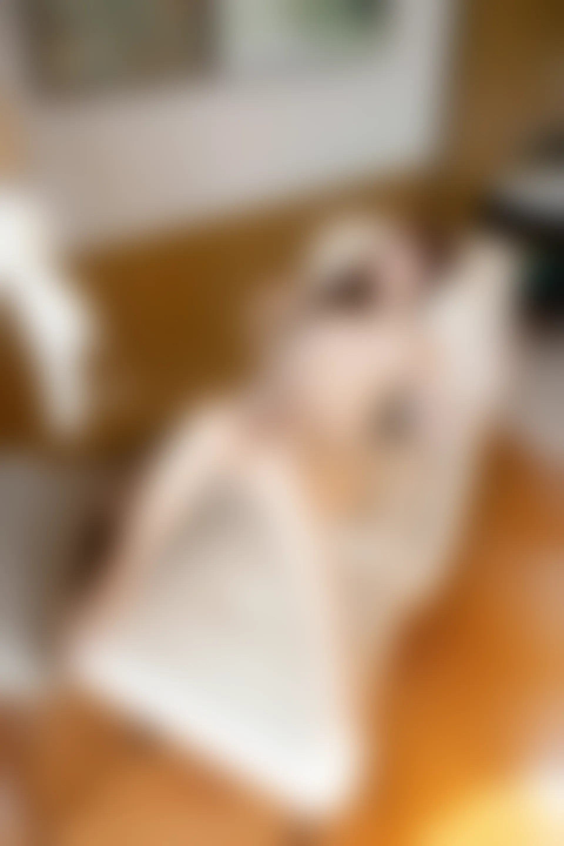 XIUREN秀人网 2023.08.21 NO.7262 江真真[79+1P／718MB]