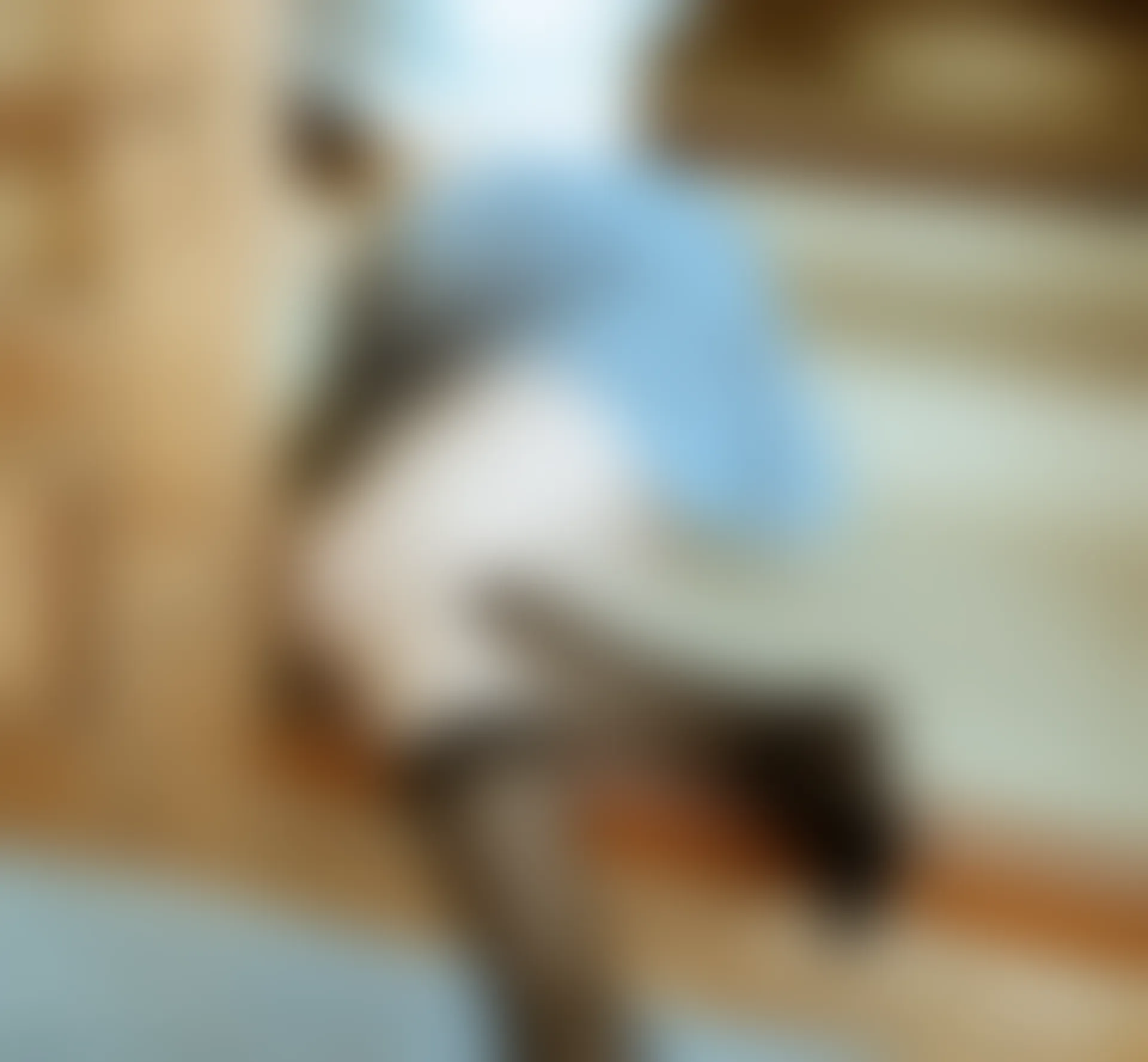 喵糖映画 VOL.039 [40P-608M]喵糖映画, 美腿, 黑丝