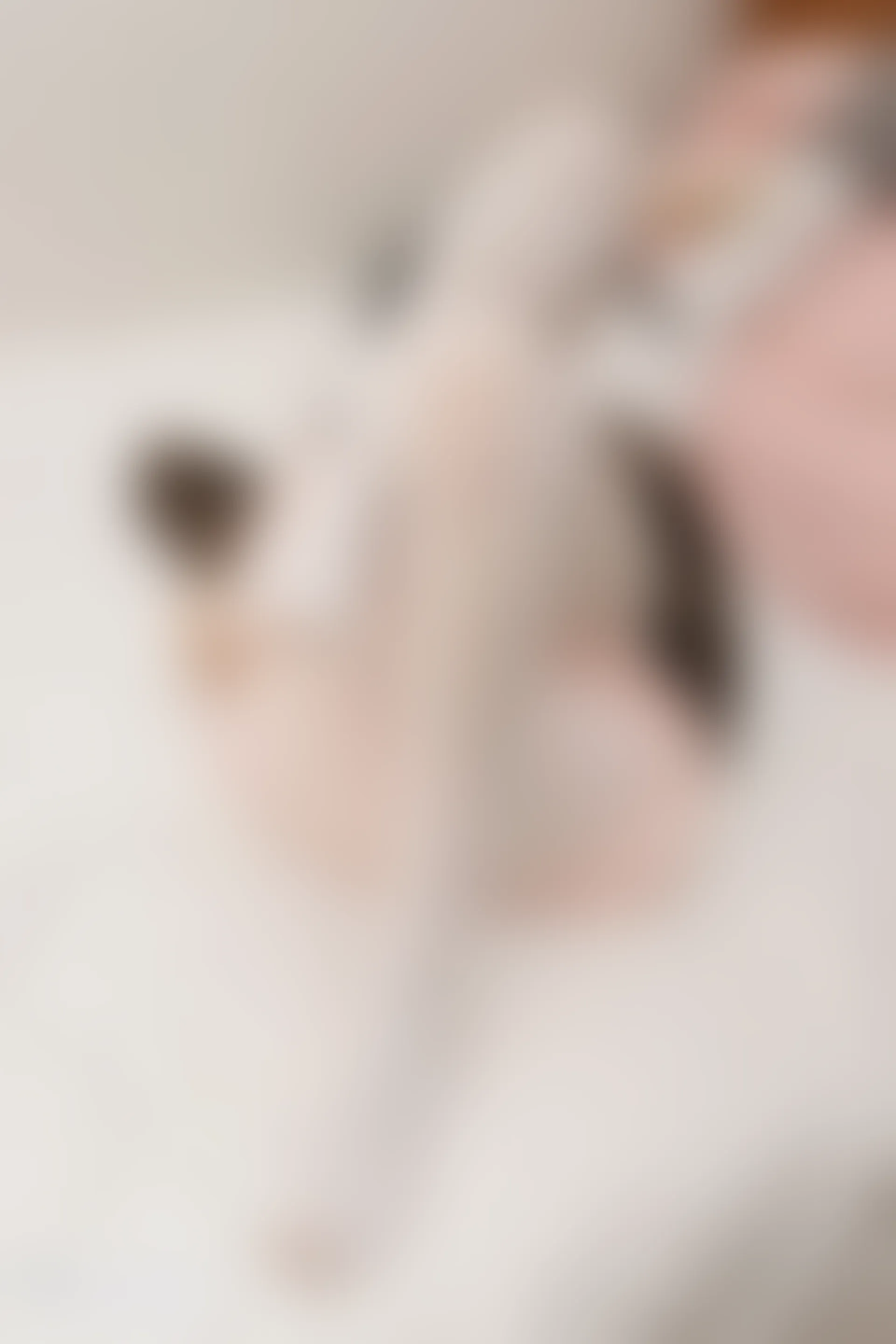 C10.003 萝莉白丝 [39P-298MB]