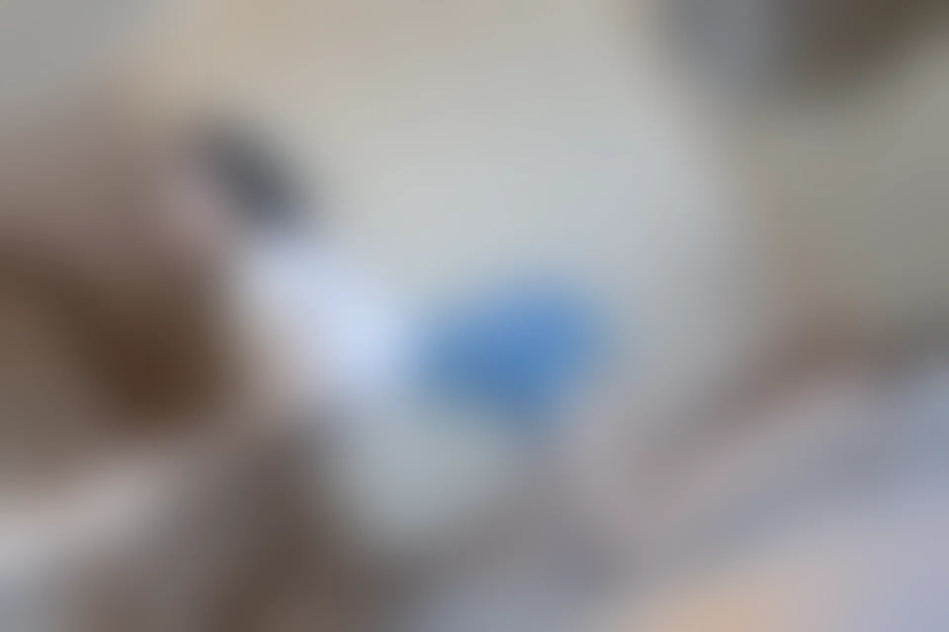 XiuRen秀人网 2021.12.14 No.4336 安然Maleah 重庆旅拍[81+1P 802MB]