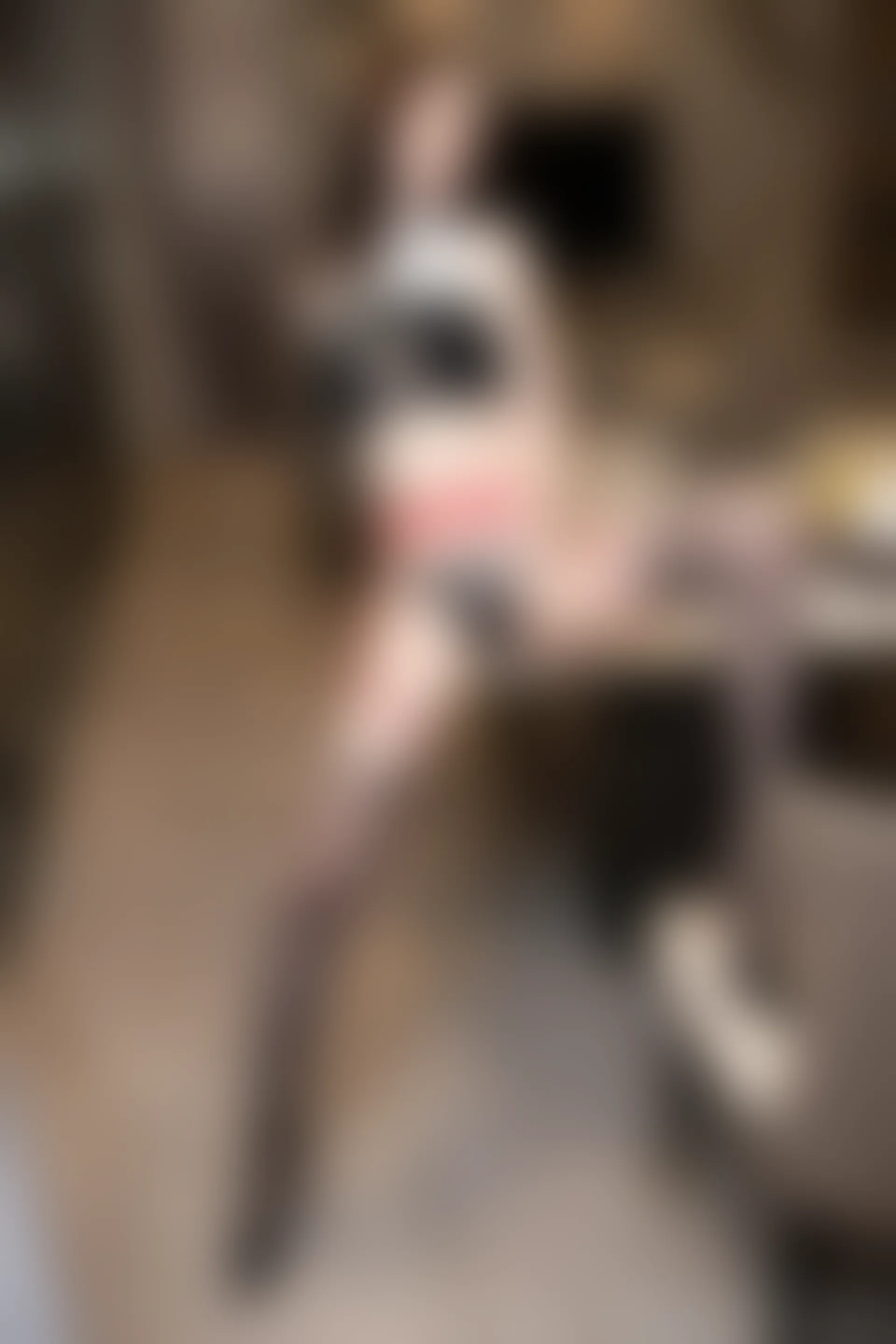 XIUREN秀人网 2023.07.19 NO.7105 梦心玥[82+1P／676MB]