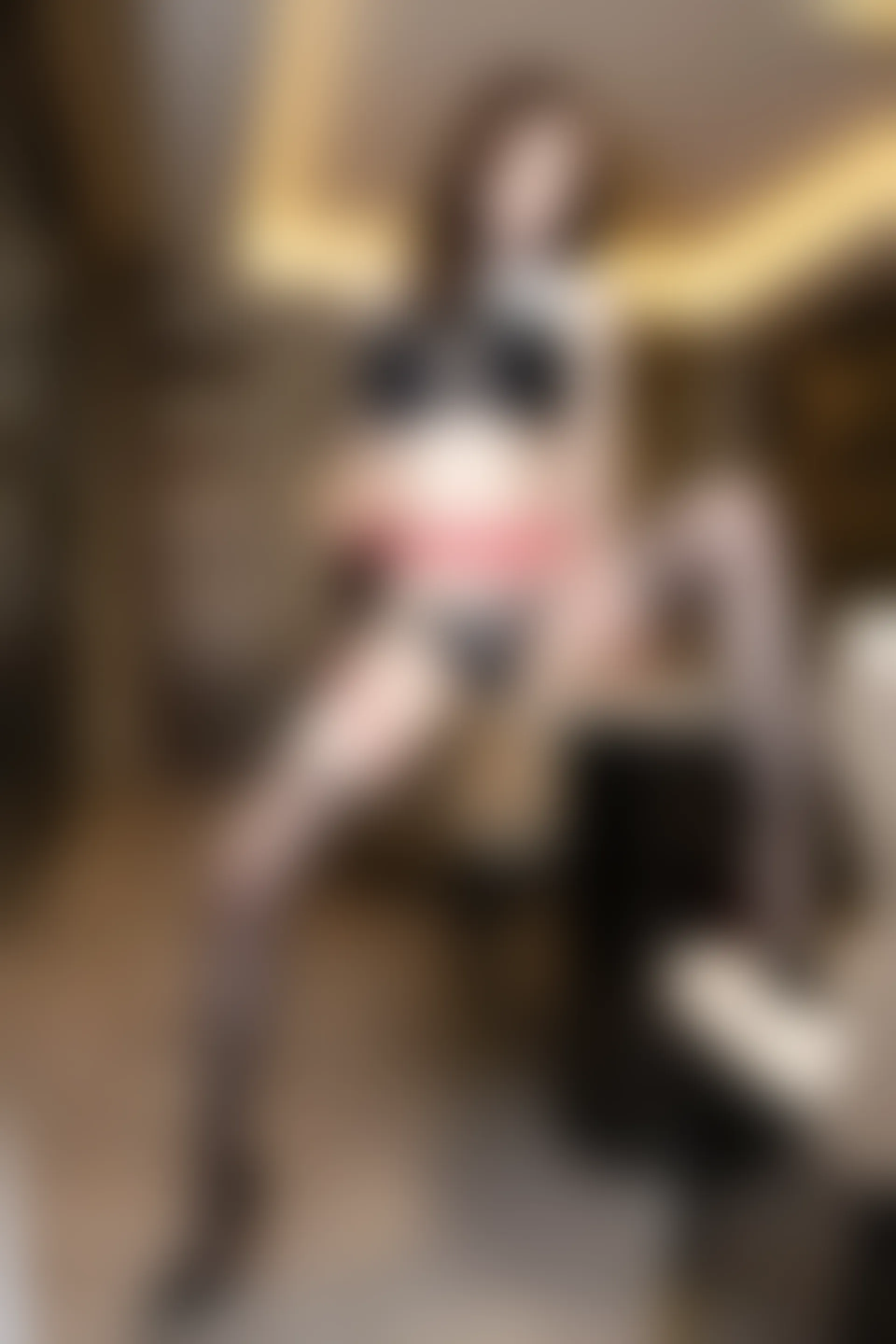 XIUREN秀人网 2023.07.19 NO.7105 梦心玥[82+1P／676MB]