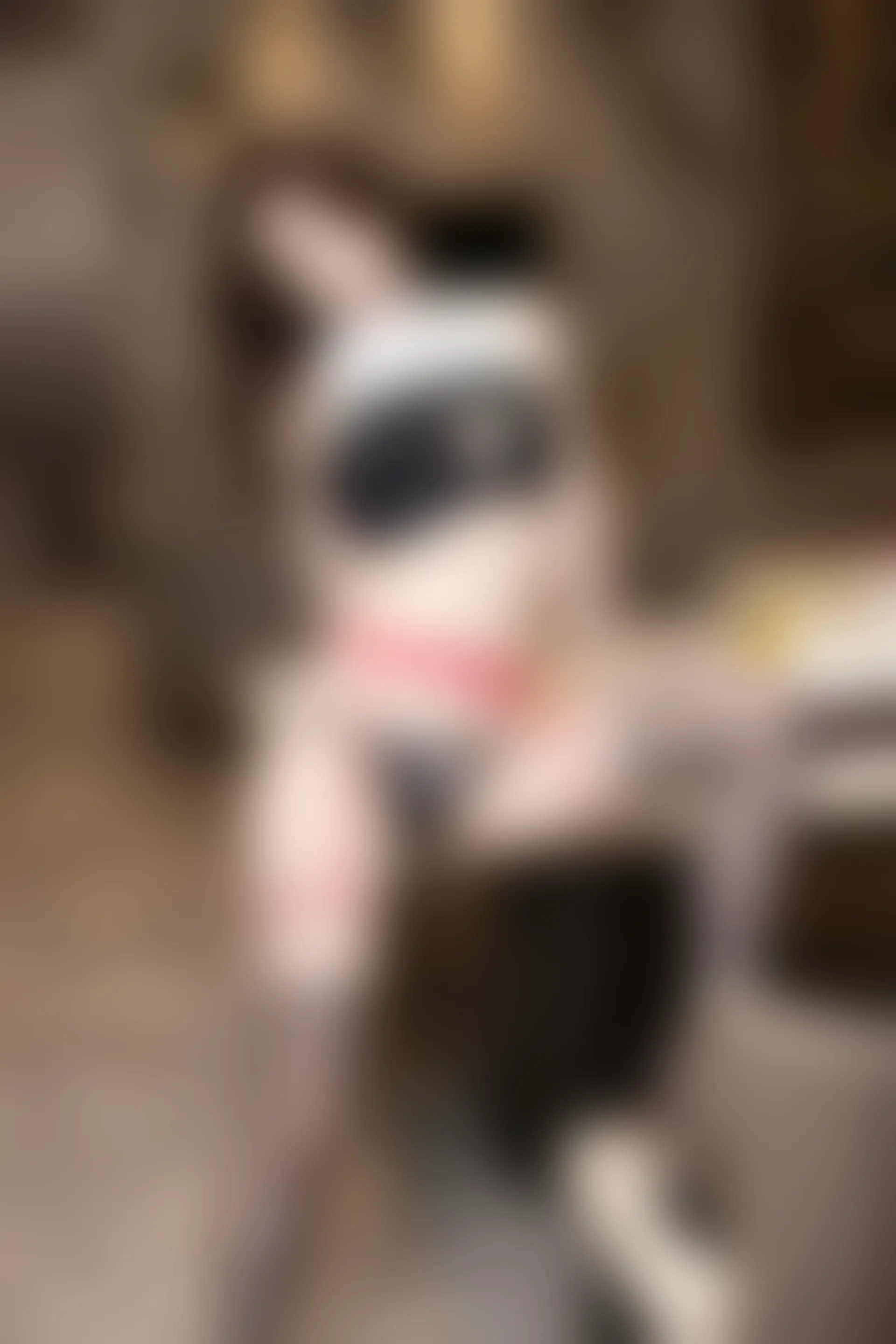 XIUREN秀人网 2023.07.19 NO.7105 梦心玥[82+1P／676MB]