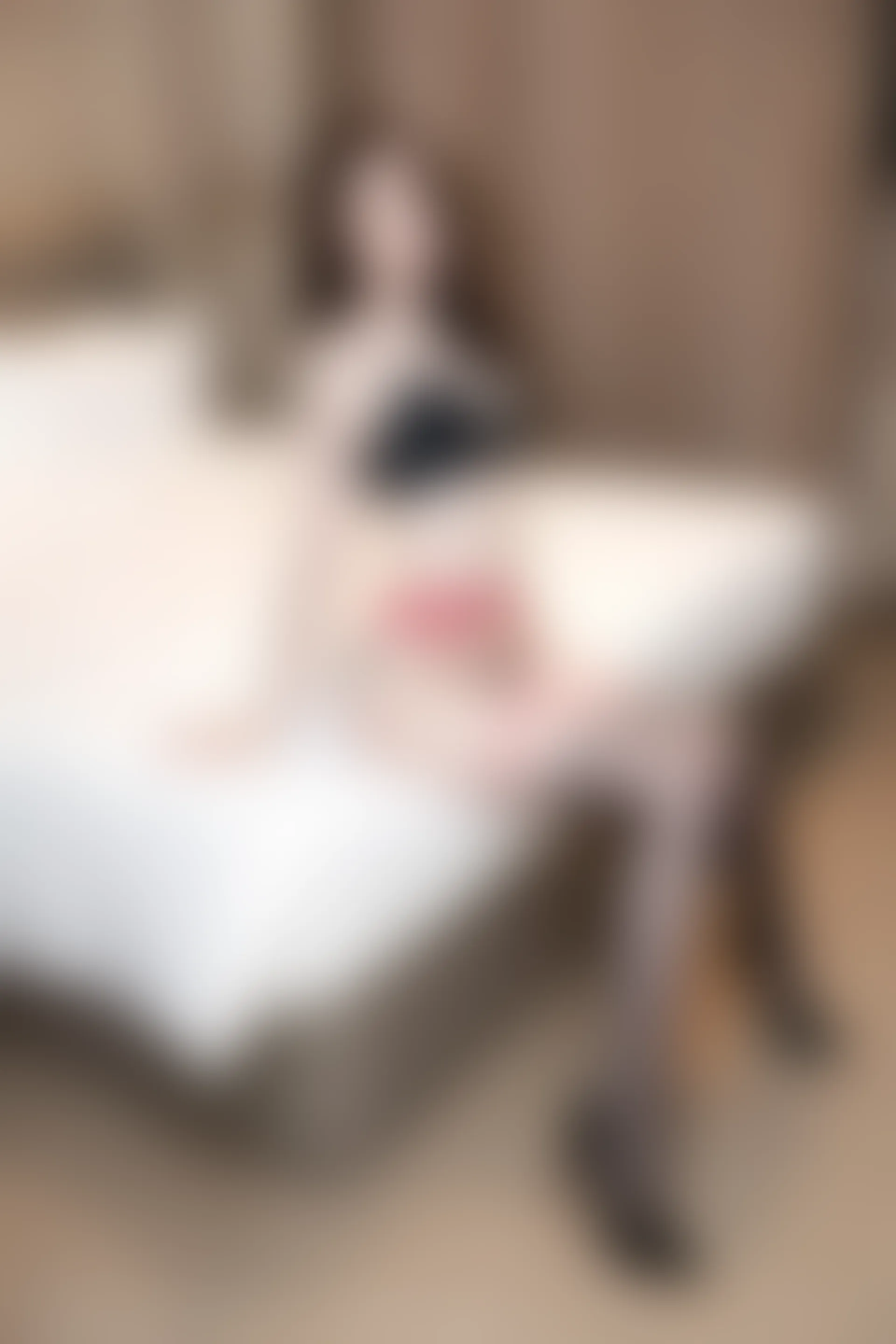 XIUREN秀人网 2023.07.19 NO.7105 梦心玥[82+1P／676MB]